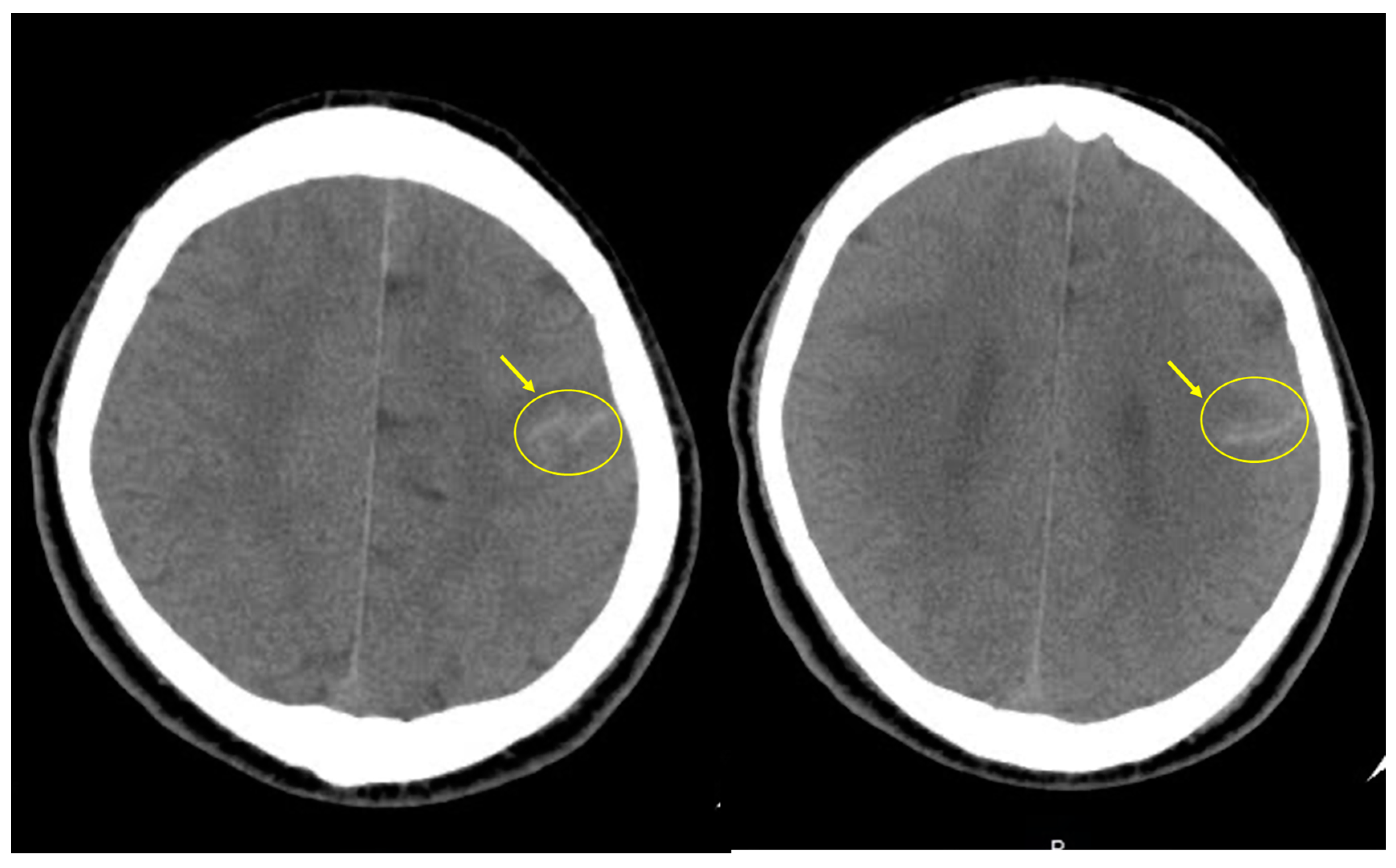 Life 14 00139 g002 Life 14 00139 g002