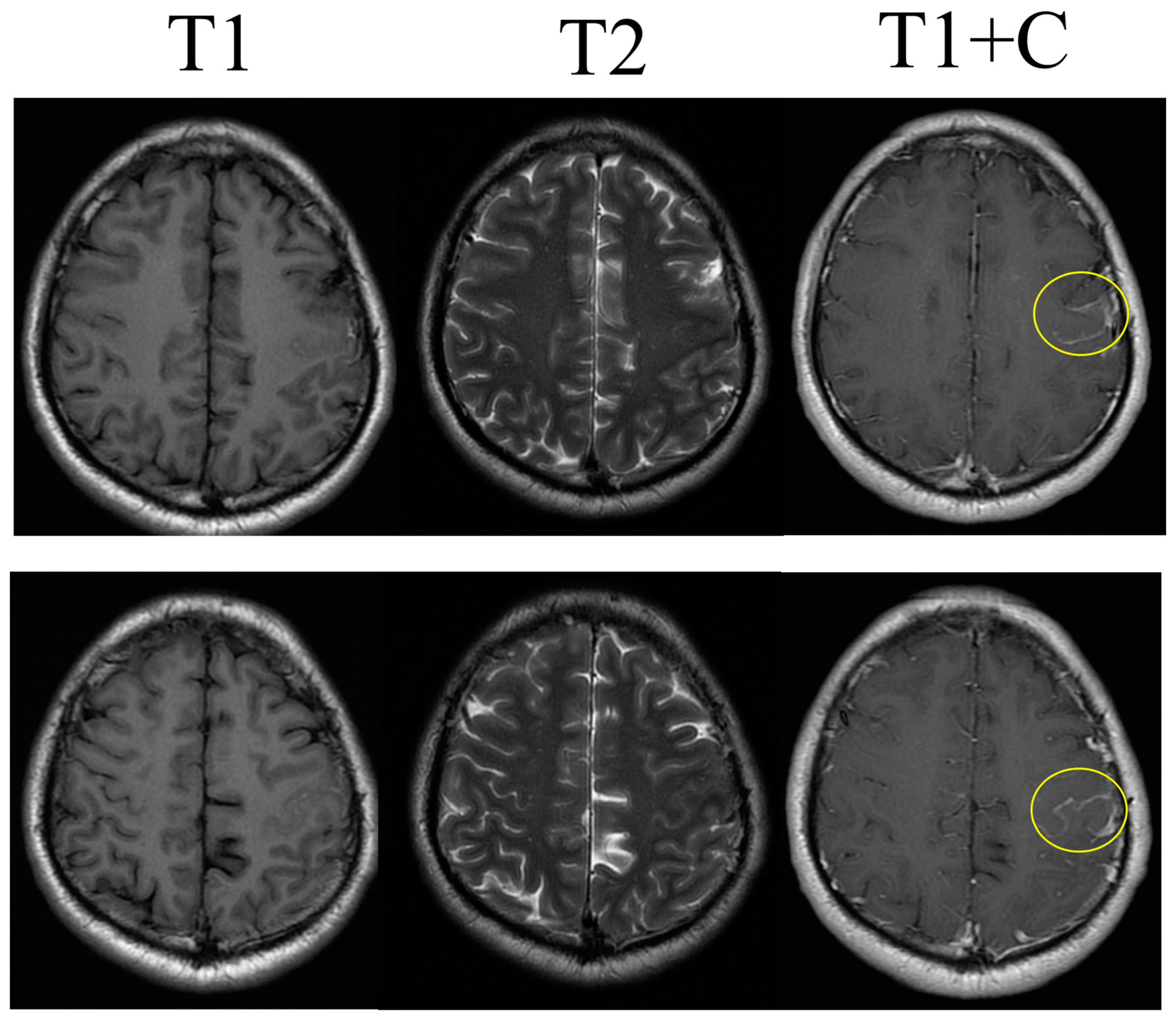 Life 14 00139 g003 Life 14 00139 g003