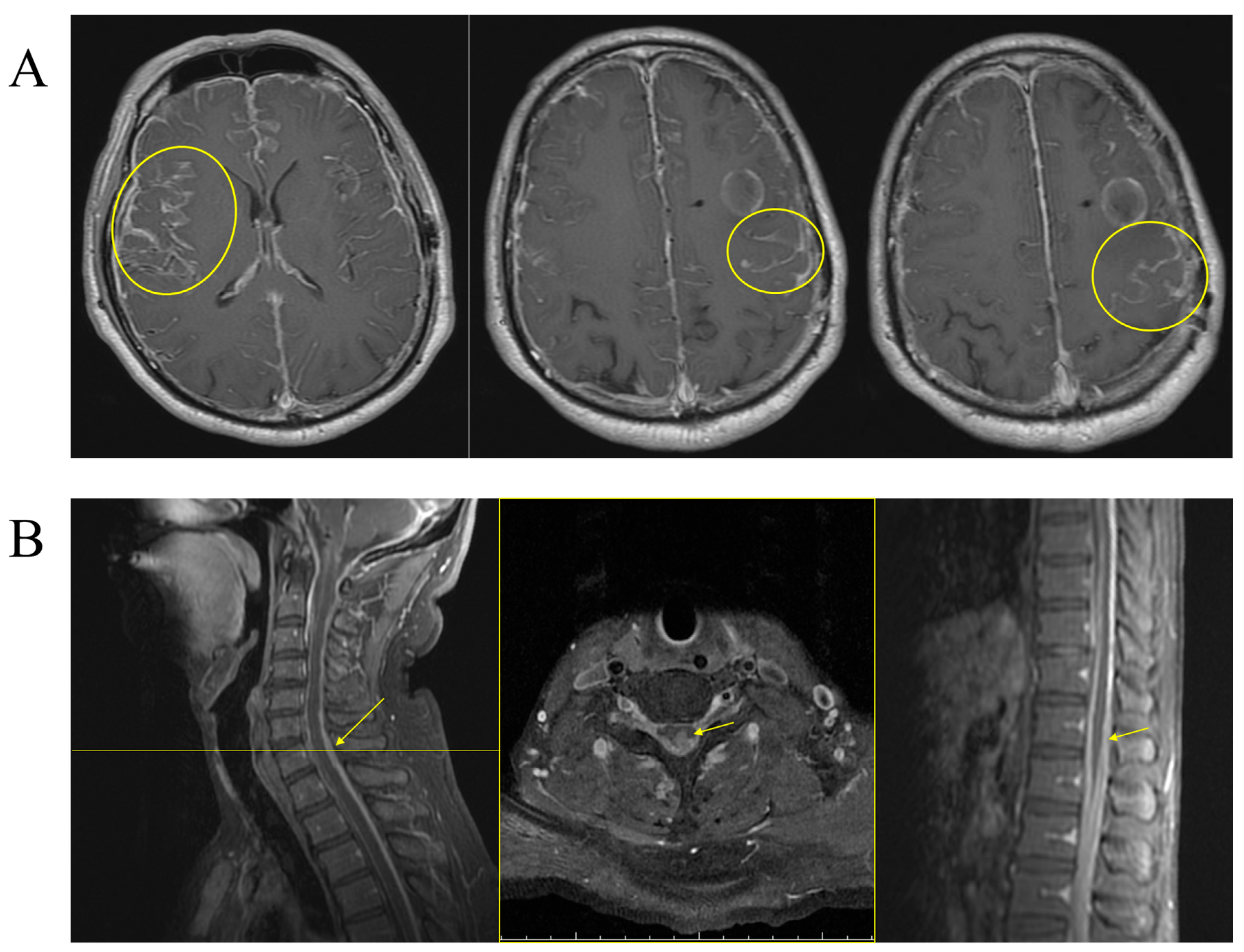 Life 14 00139 g005 Life 14 00139 g005