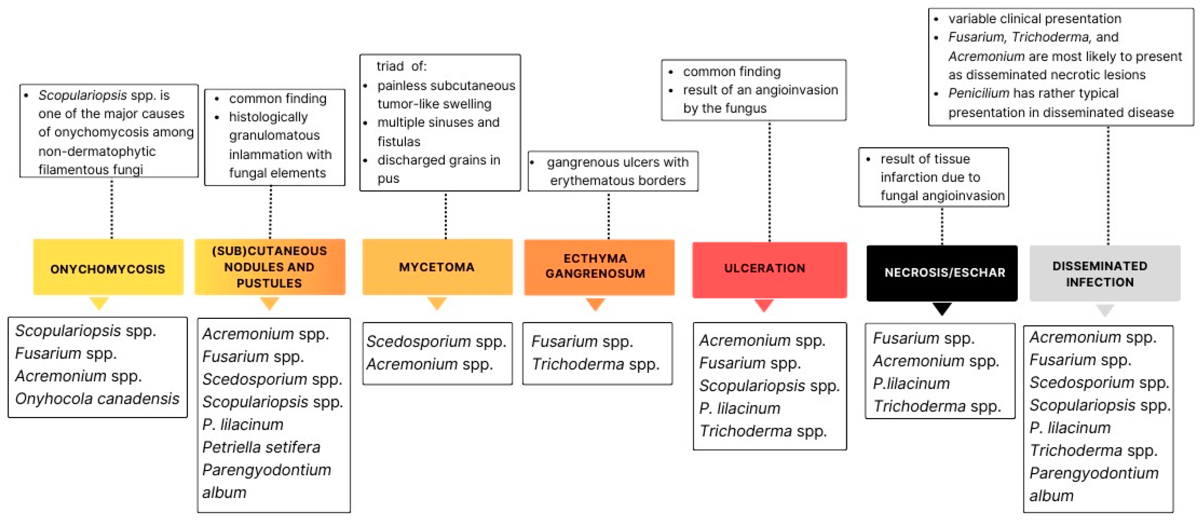 Life 14 00154 g001 Life 14 00154 g001