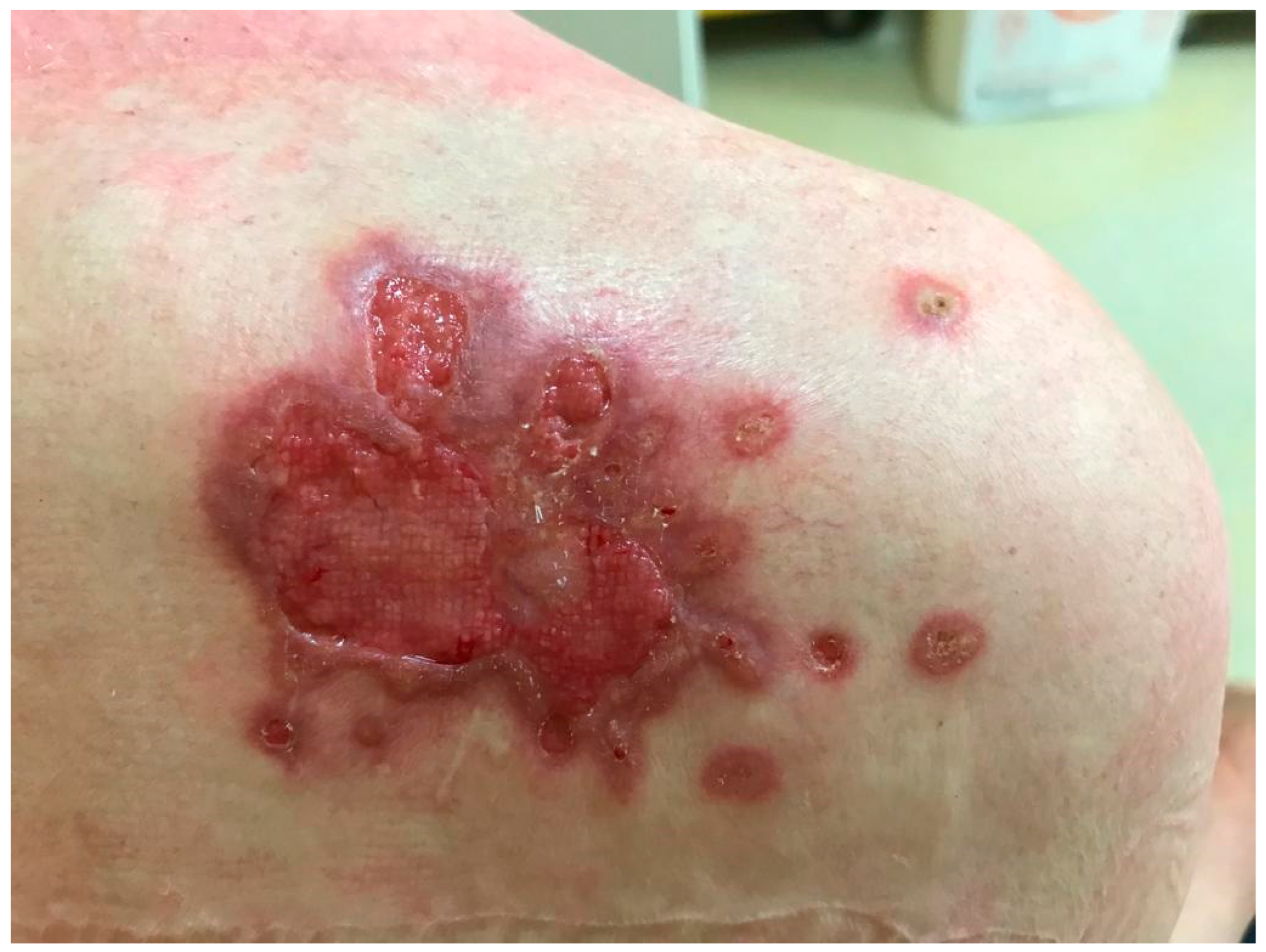 Life 14 00154 g002 Life 14 00154 g002