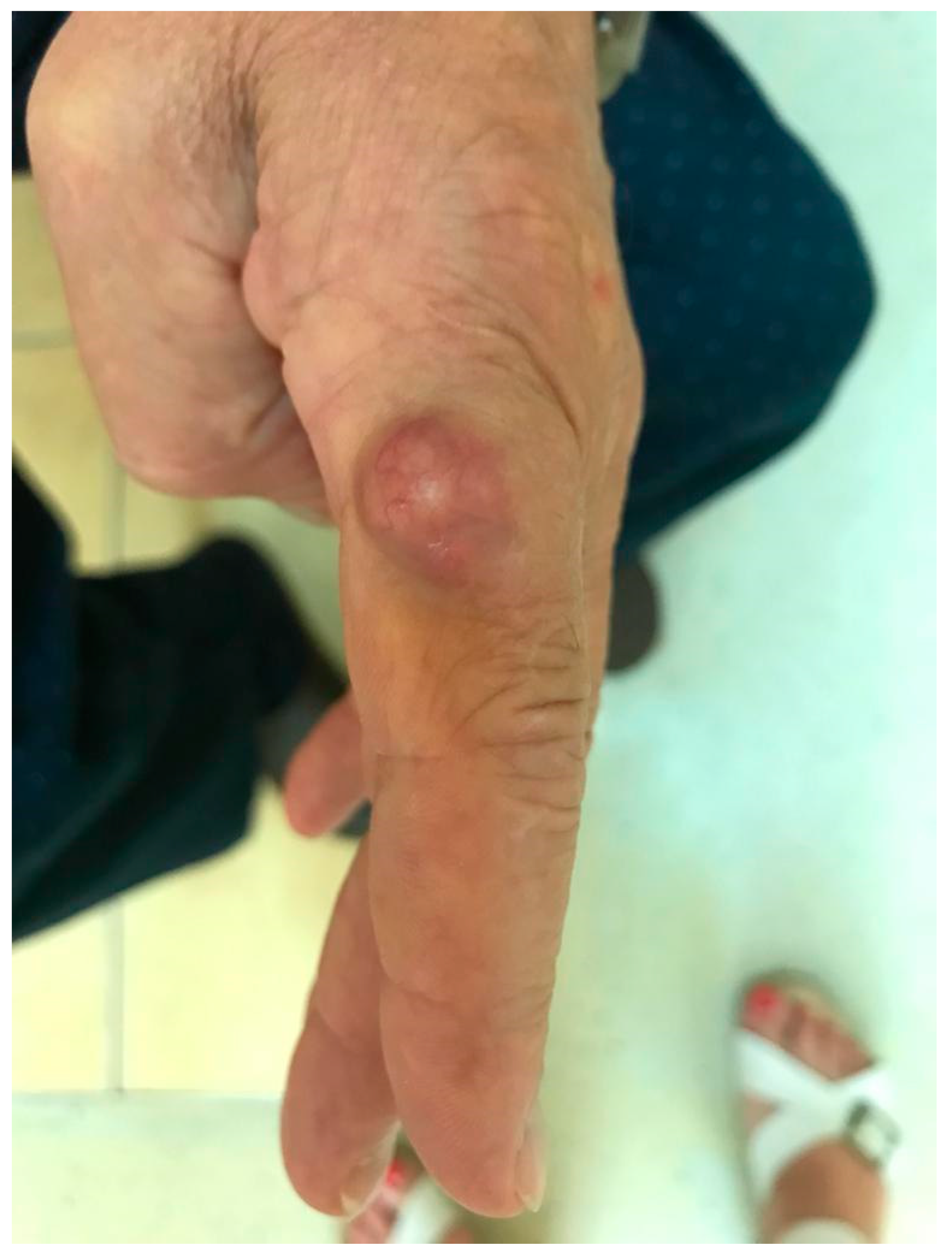 Life 14 00154 g003 Life 14 00154 g003