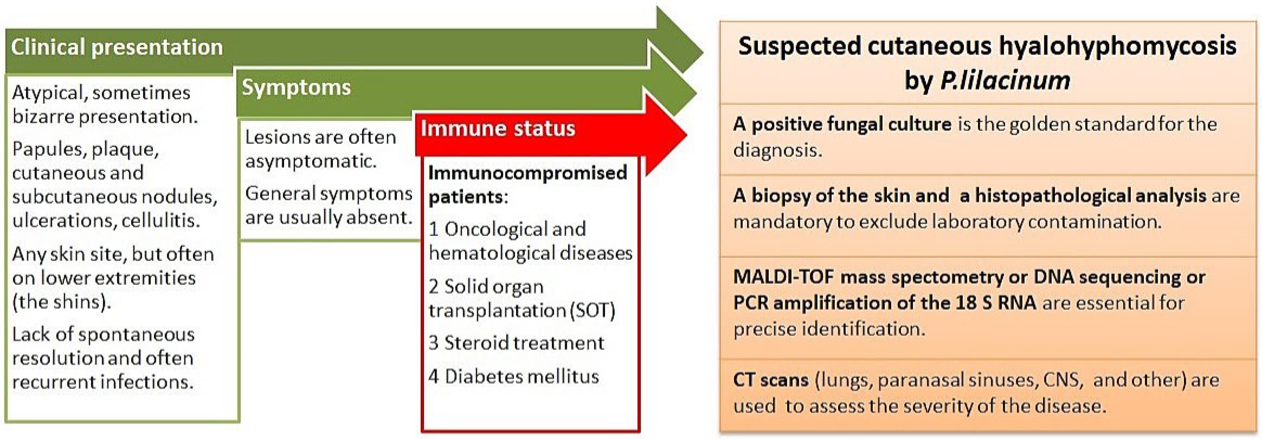Life 14 00154 g004 Life 14 00154 g004
