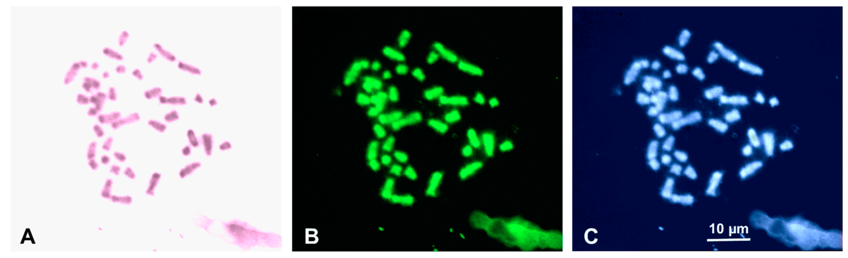 Life 14 00181 g002 Life 14 00181 g002