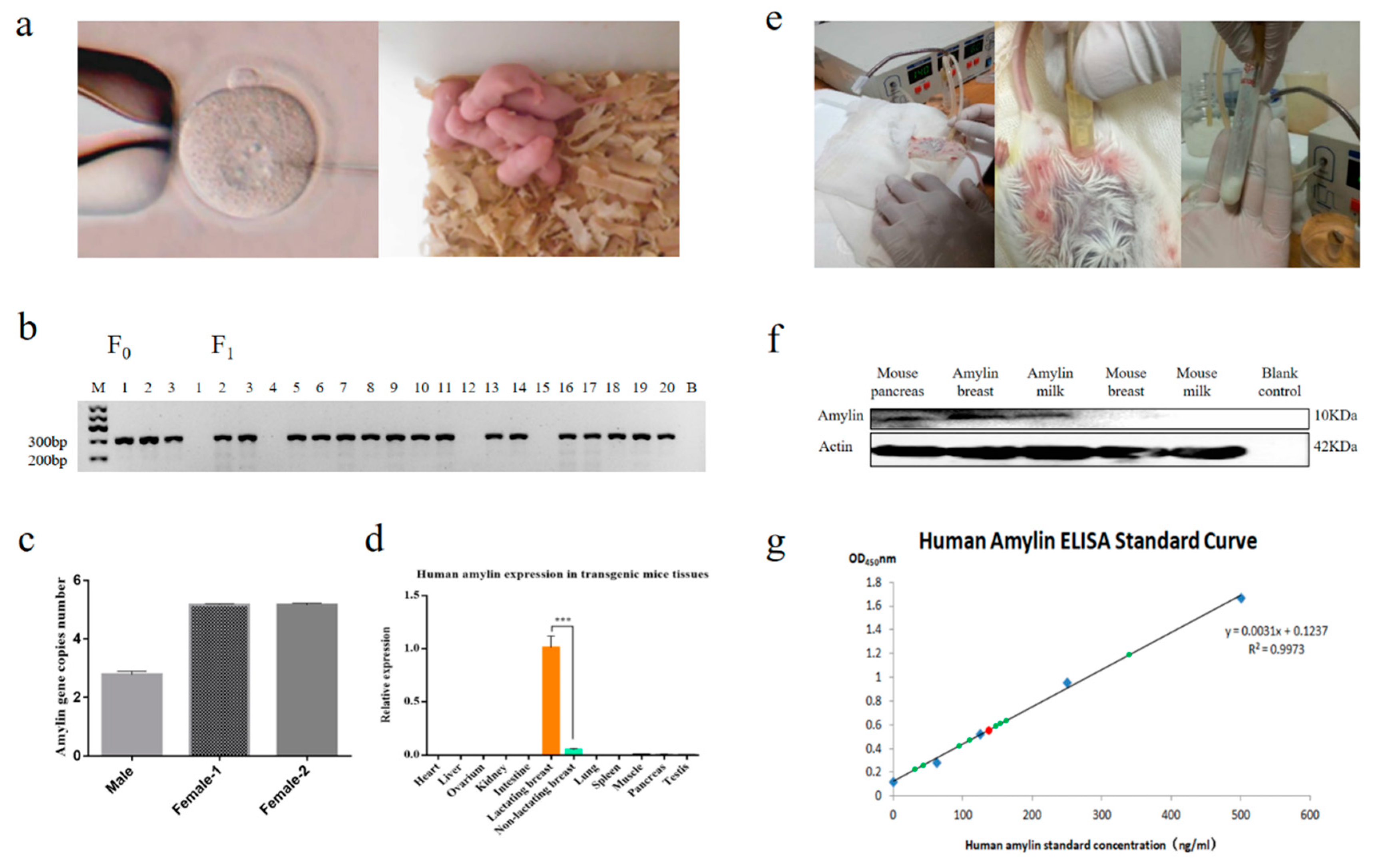 Life Free FullText Construction and Identification of a Breast Bioreactor for HumanDerived