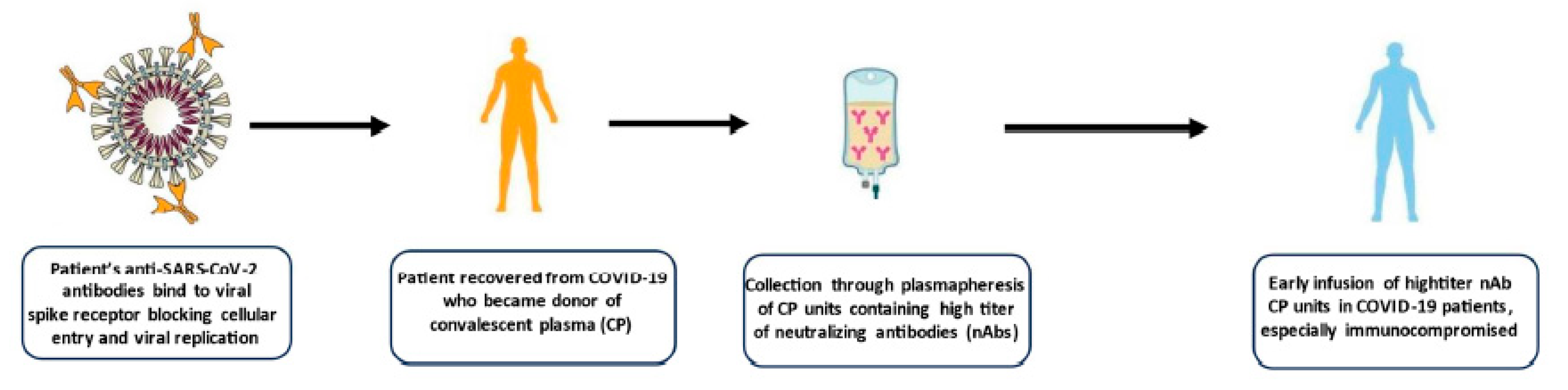 Life 14 00214 g001 Life 14 00214 g001