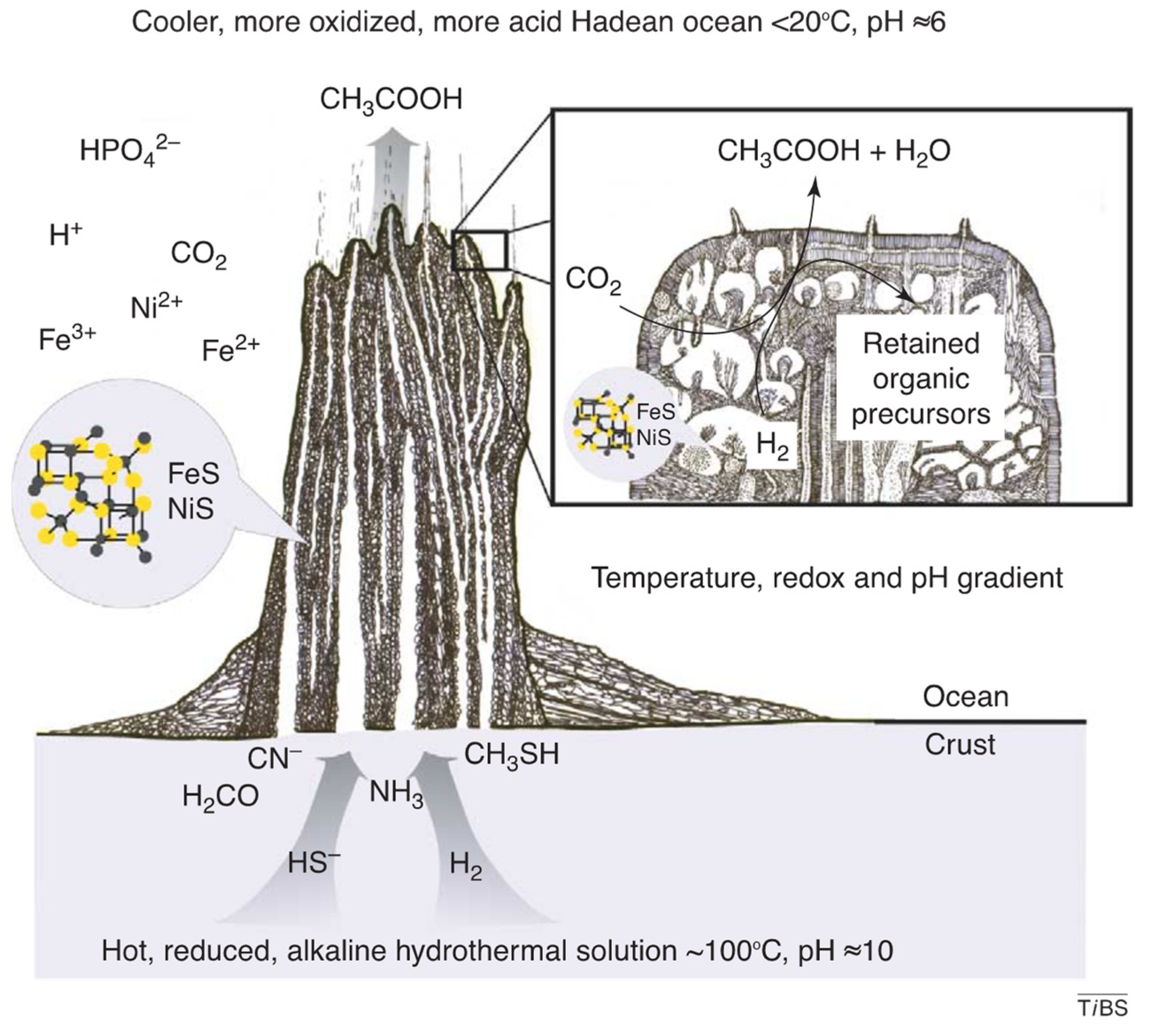 Life 14 00226 g001 Life 14 00226 g001
