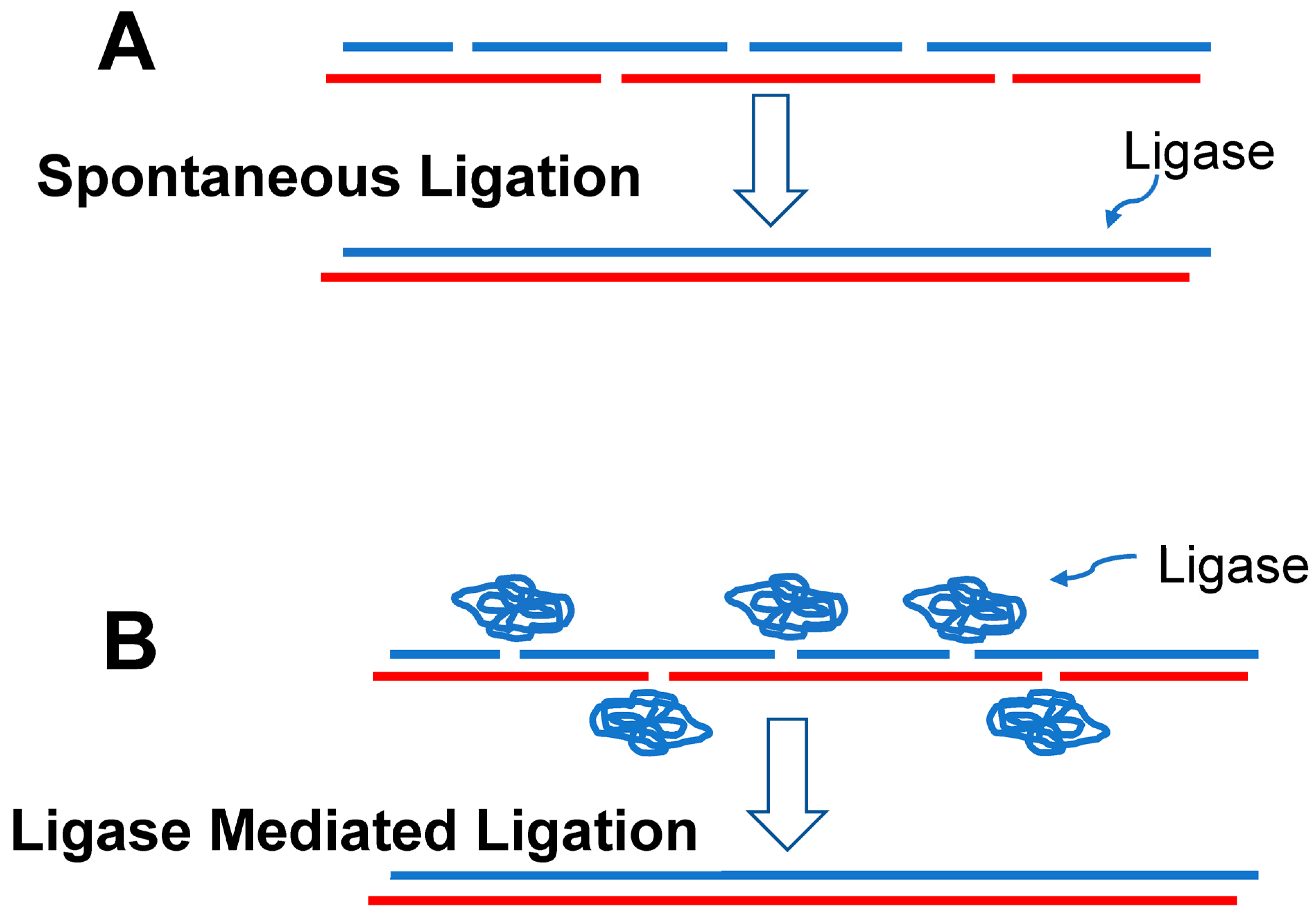 Life 14 00226 g002 Life 14 00226 g002