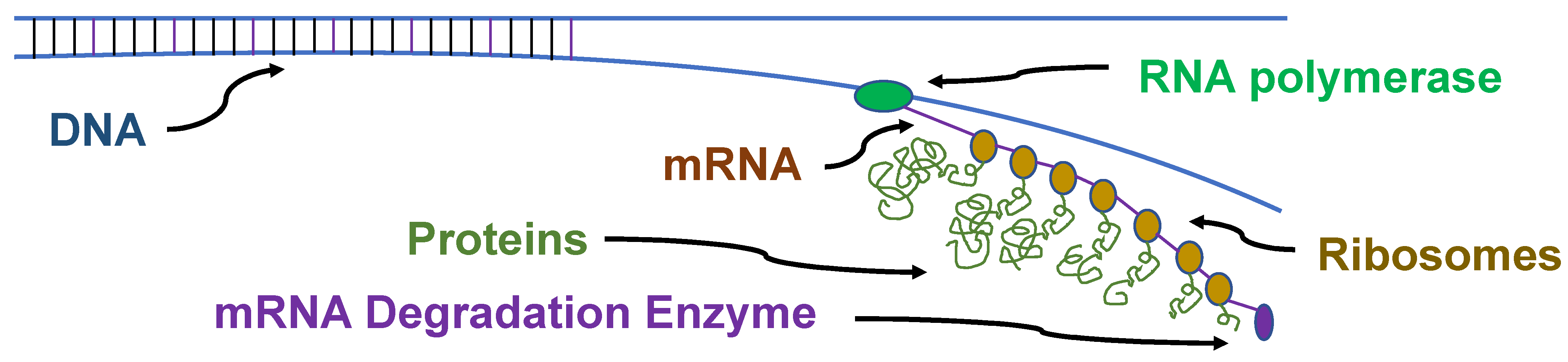 Life 14 00226 g004 Life 14 00226 g004