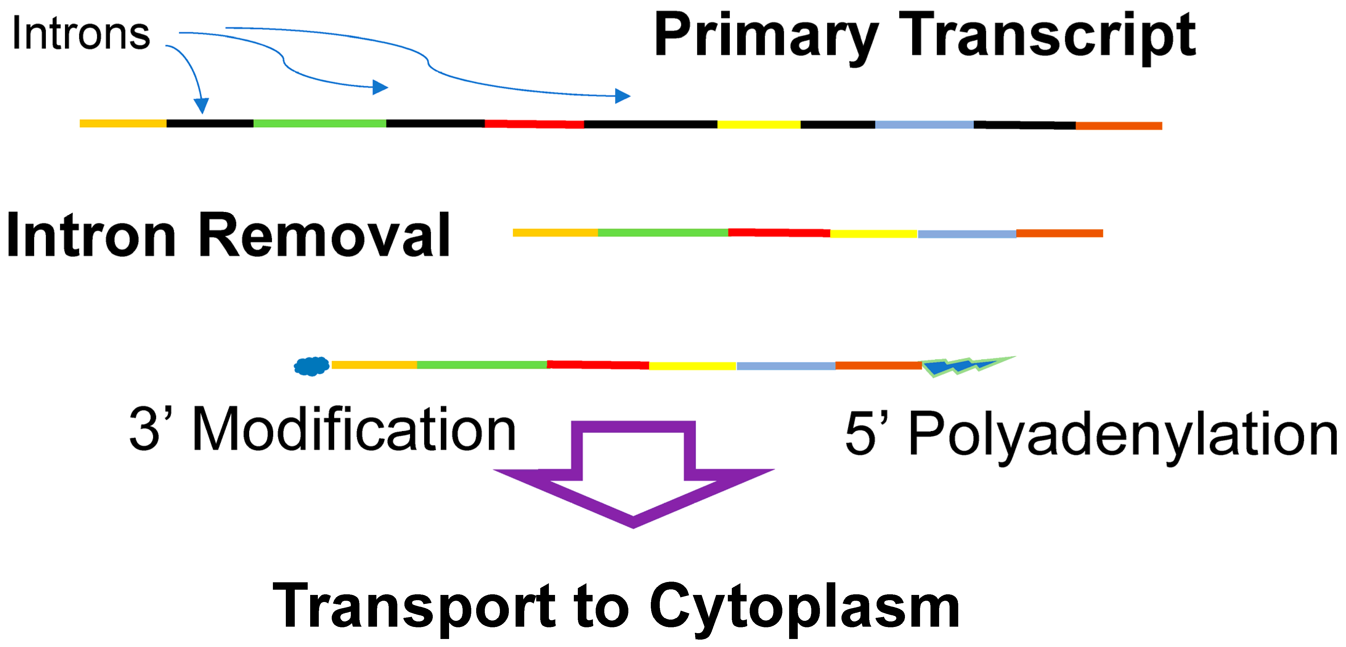 Life 14 00226 g005 Life 14 00226 g005