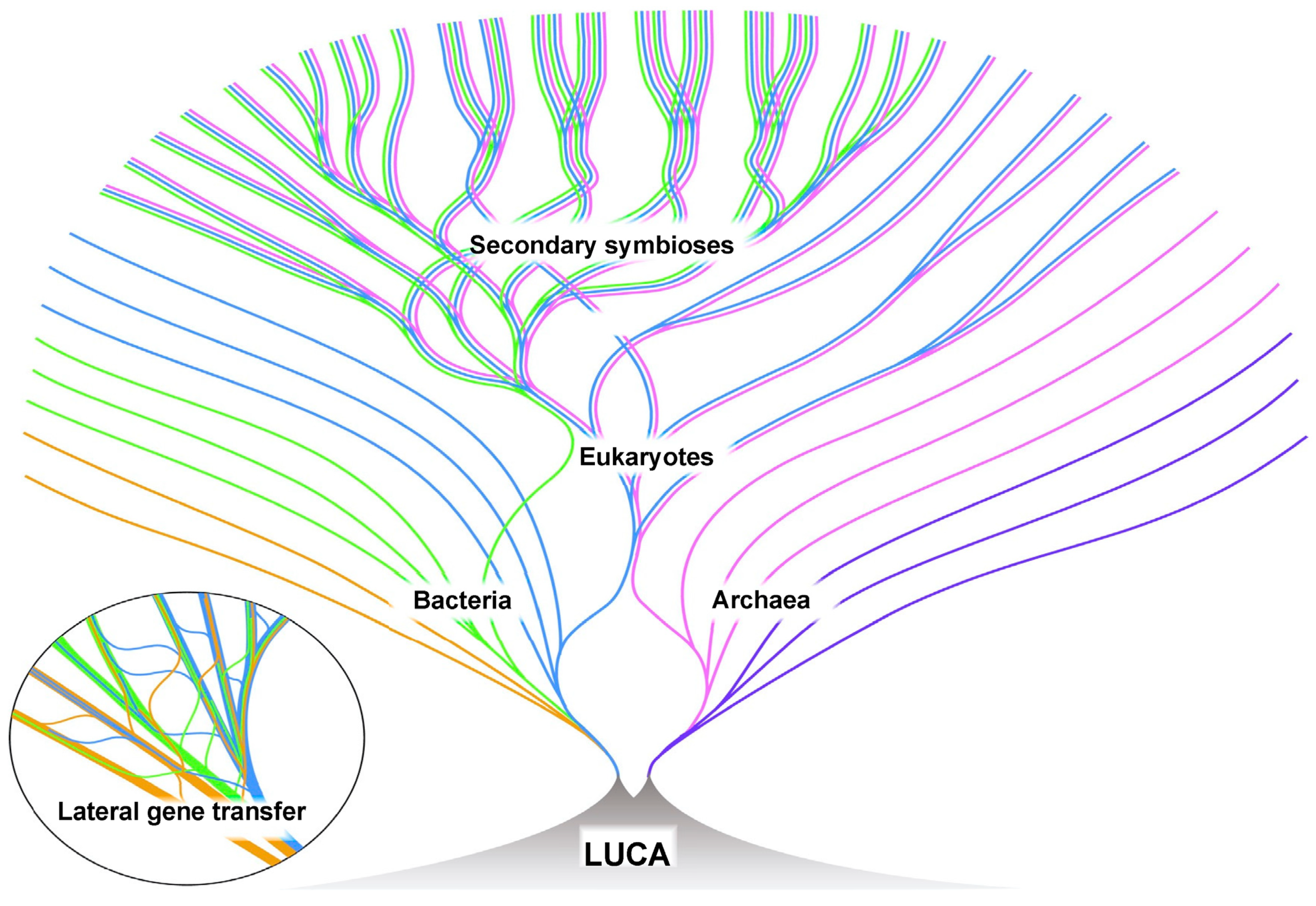 Life 14 00226 g006 Life 14 00226 g006