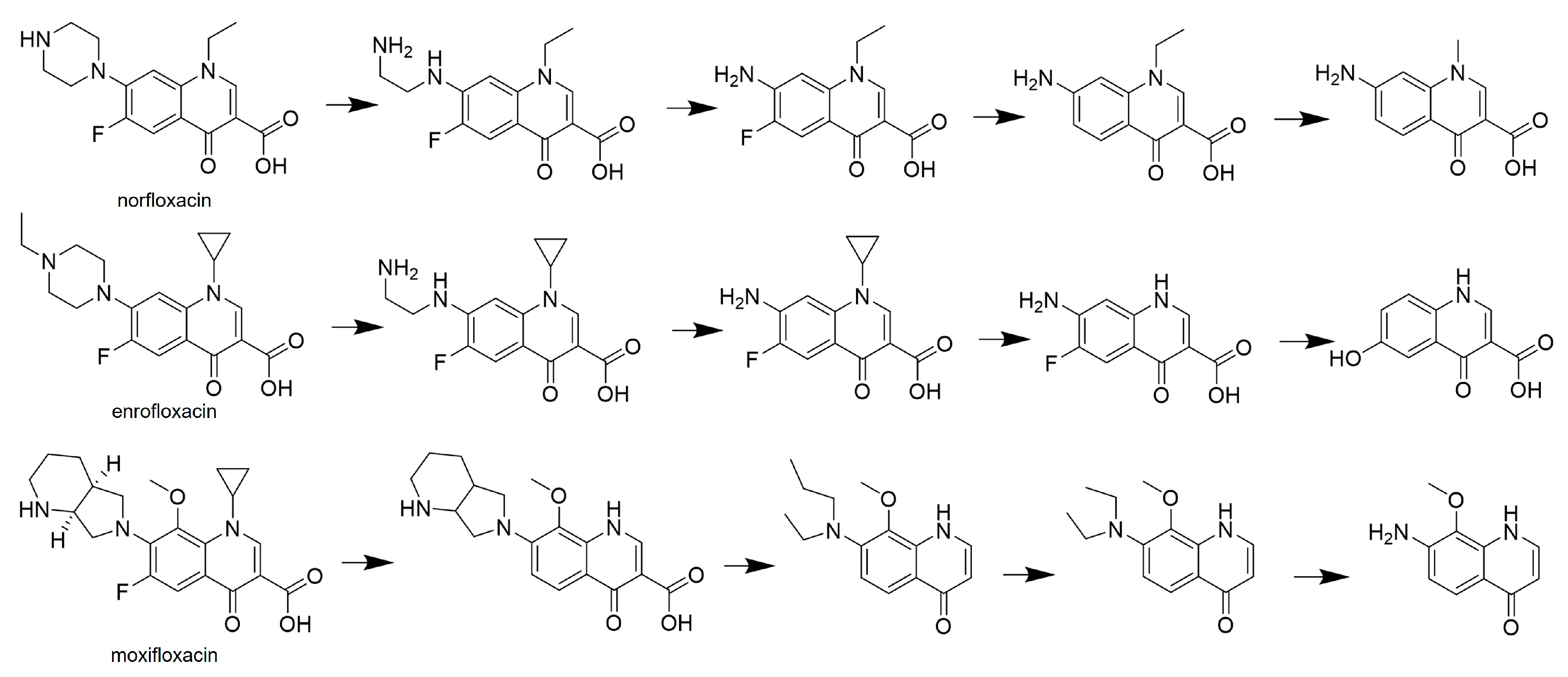 Life 14 00230 g005 Life 14 00230 g005