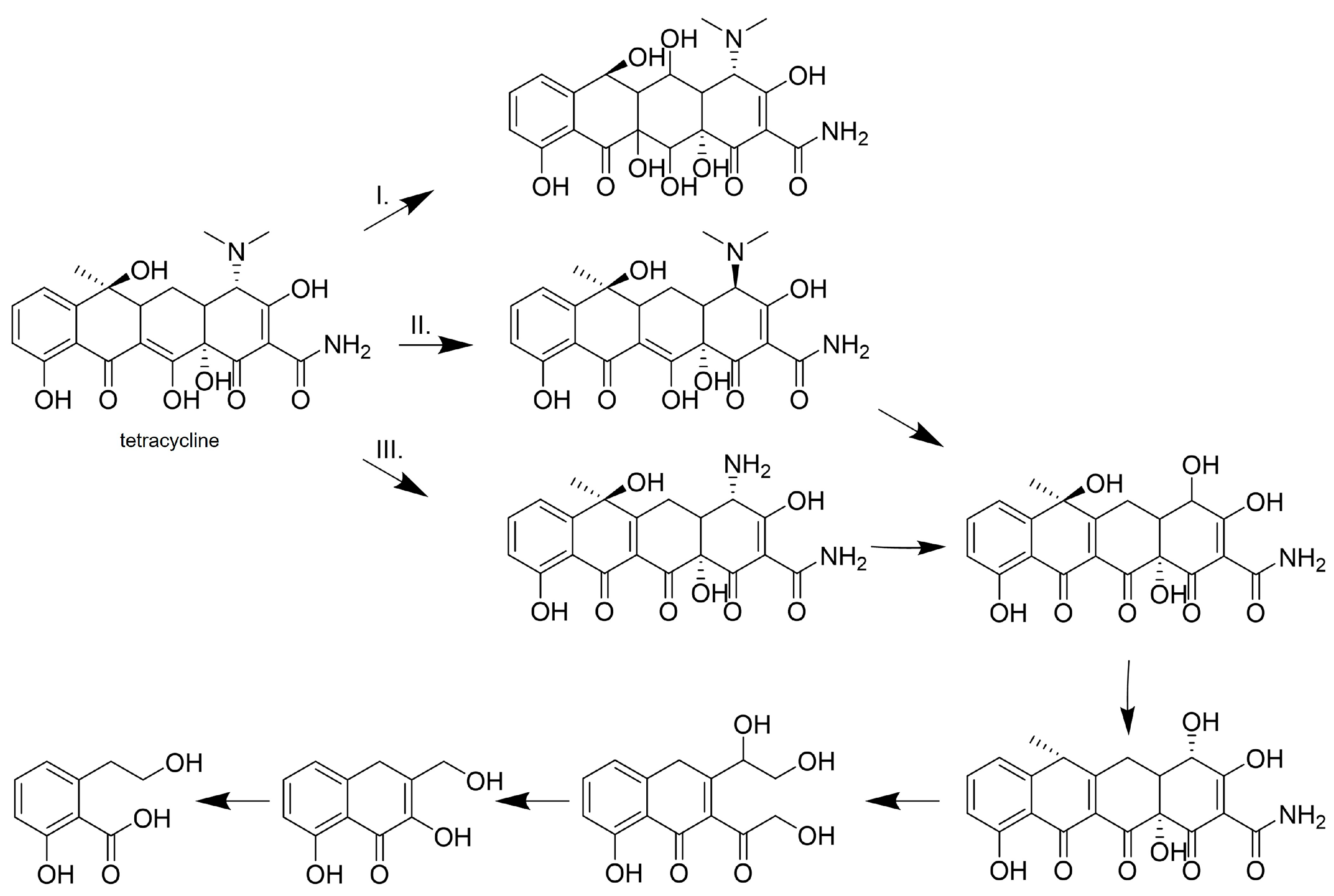 Life 14 00230 g006 Life 14 00230 g006