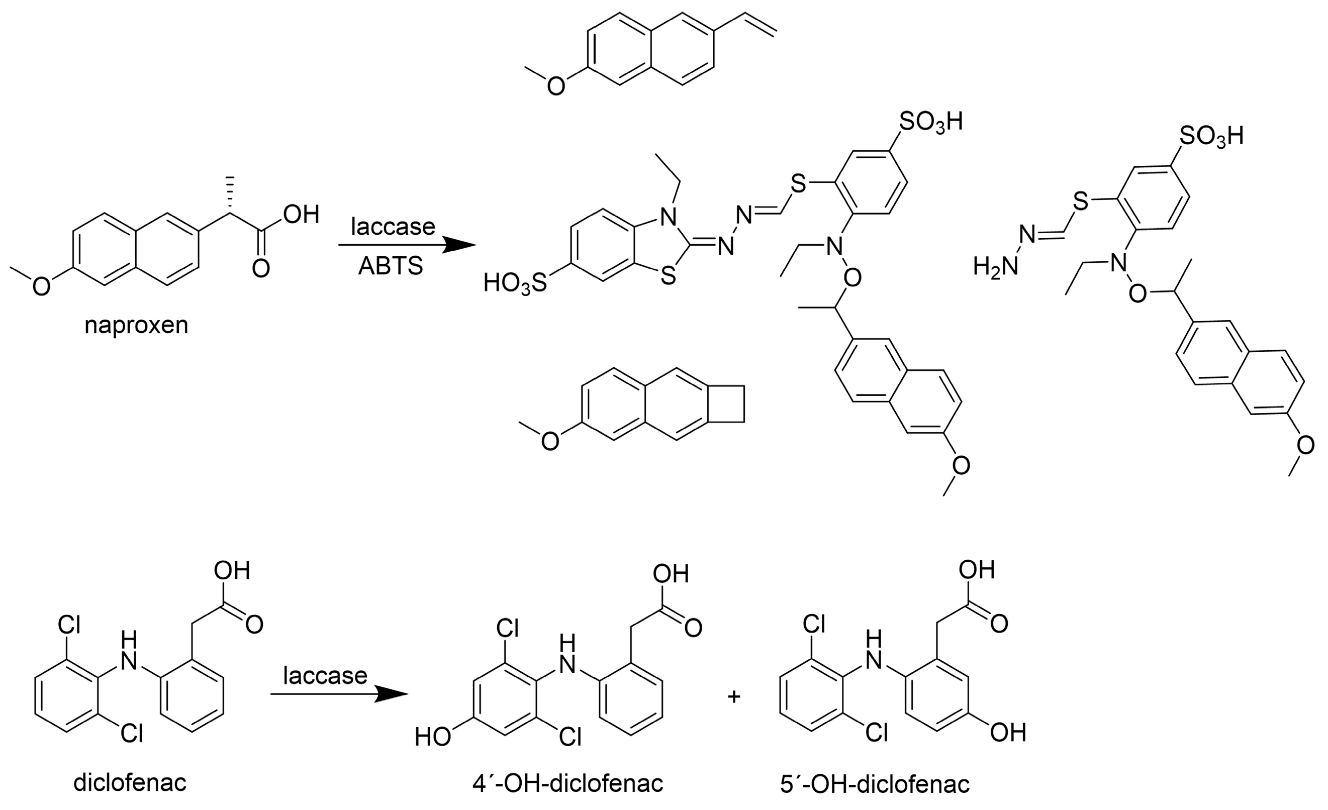 Life 14 00230 g008 Life 14 00230 g008