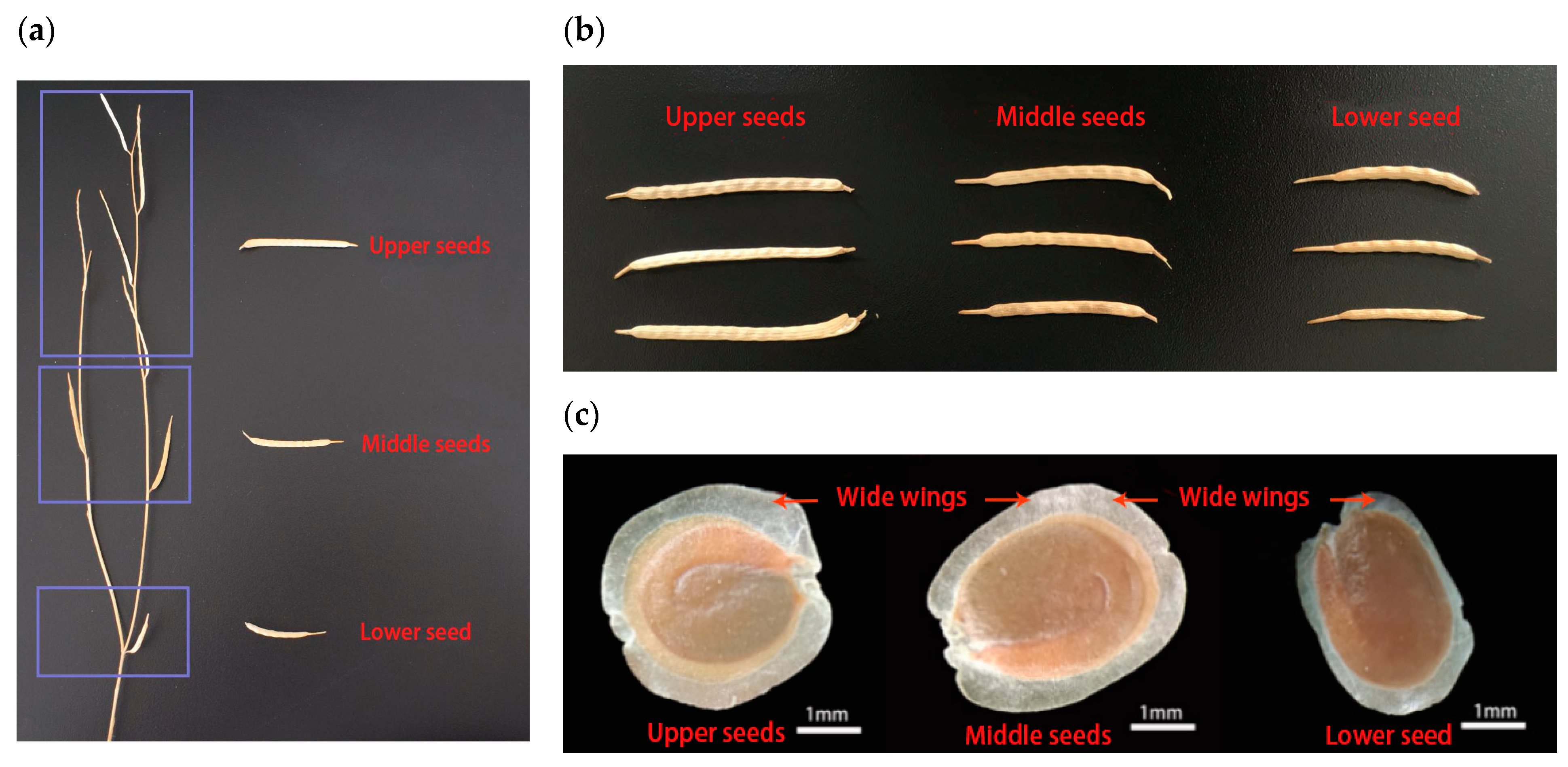 Life 14 00235 g001 Life 14 00235 g001