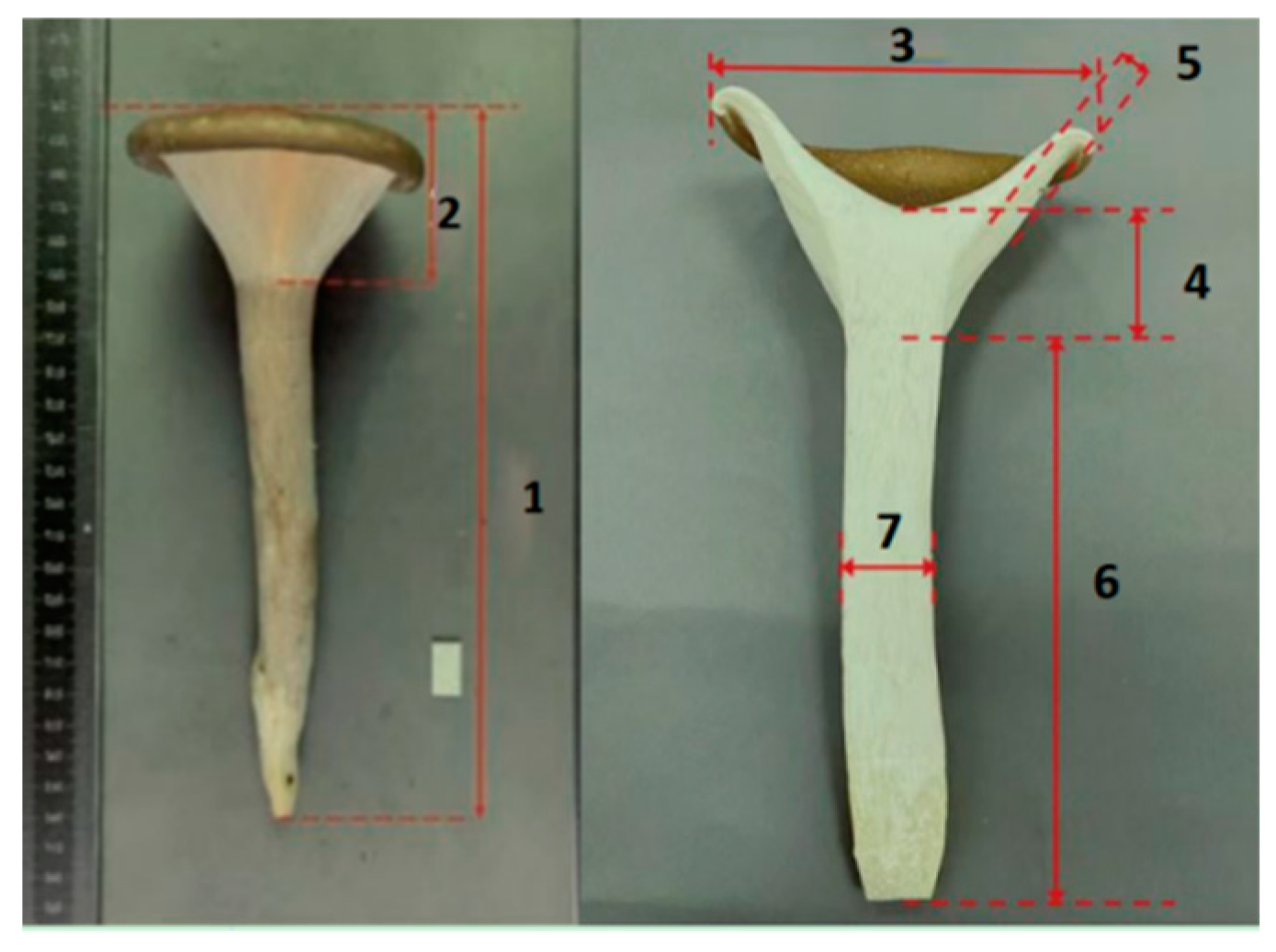 Life 14 00238 g001 Life 14 00238 g001