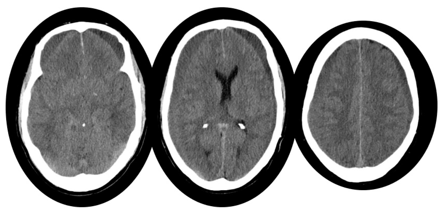 Life 14 00250 g001 Life 14 00250 g001