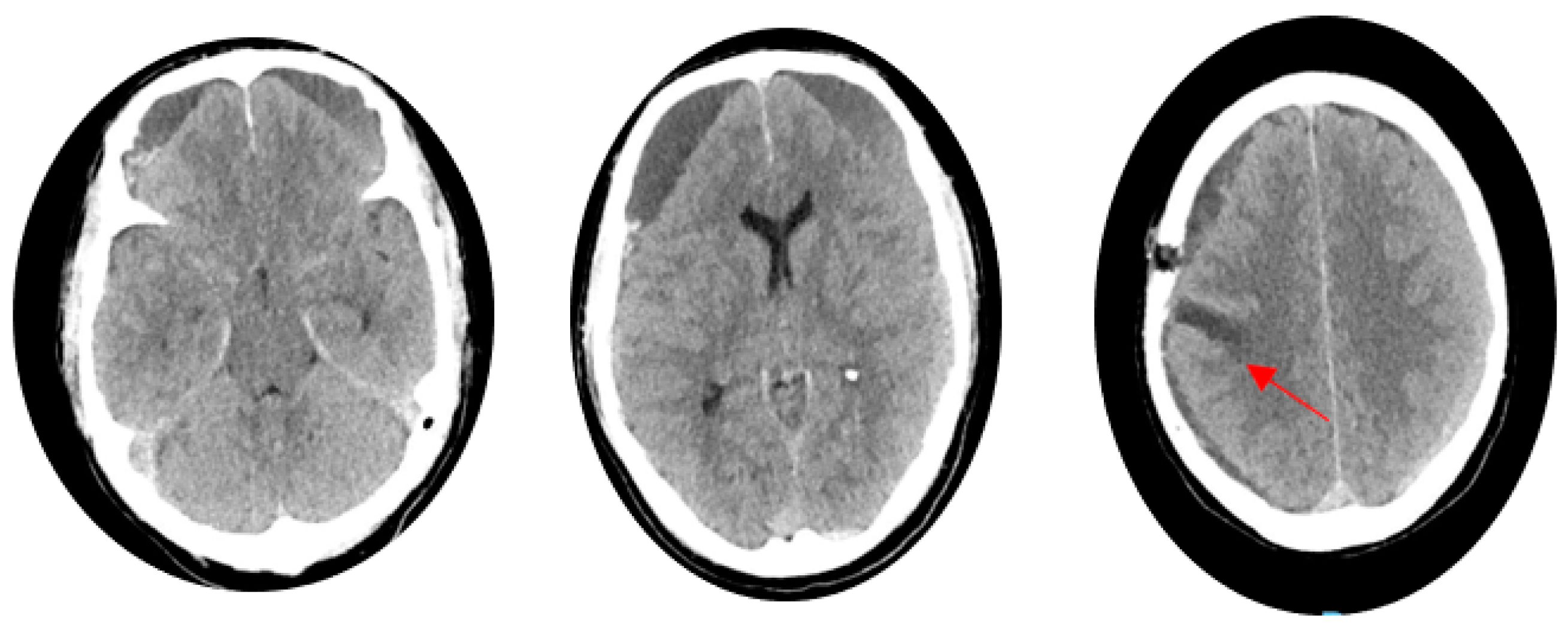 Life 14 00250 g002 Life 14 00250 g002