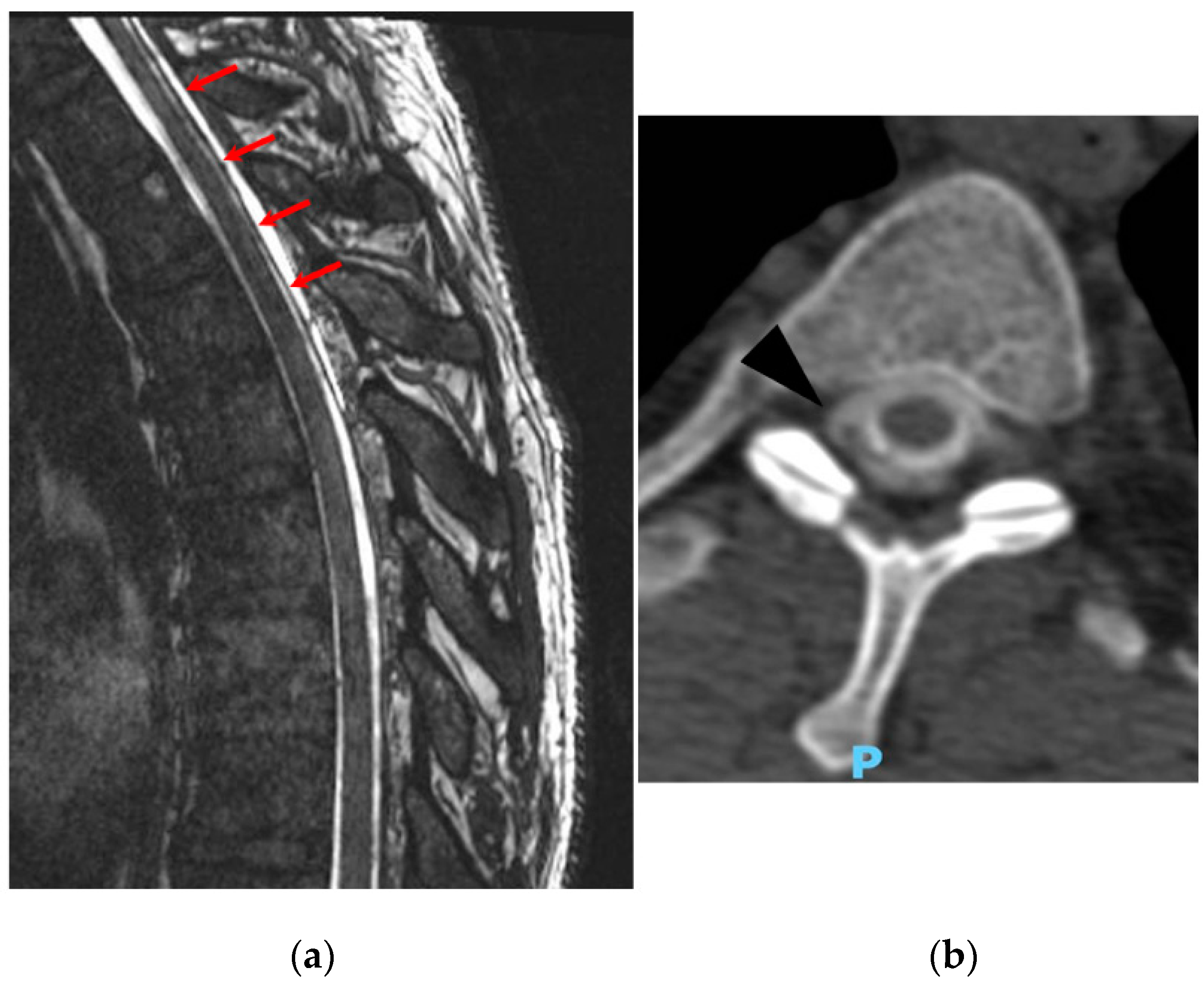 Life 14 00250 g004 Life 14 00250 g004