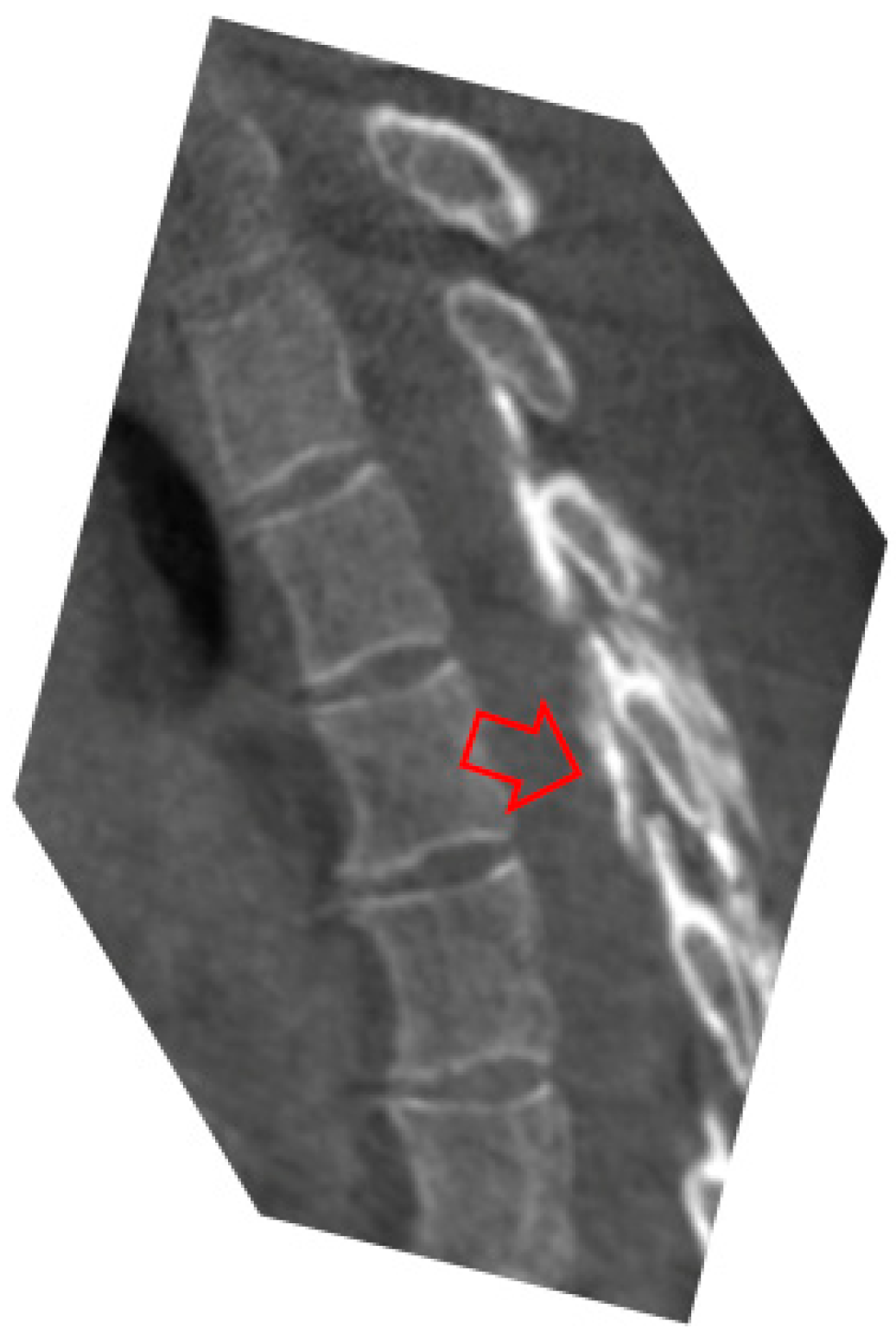 Life 14 00250 g005 Life 14 00250 g005