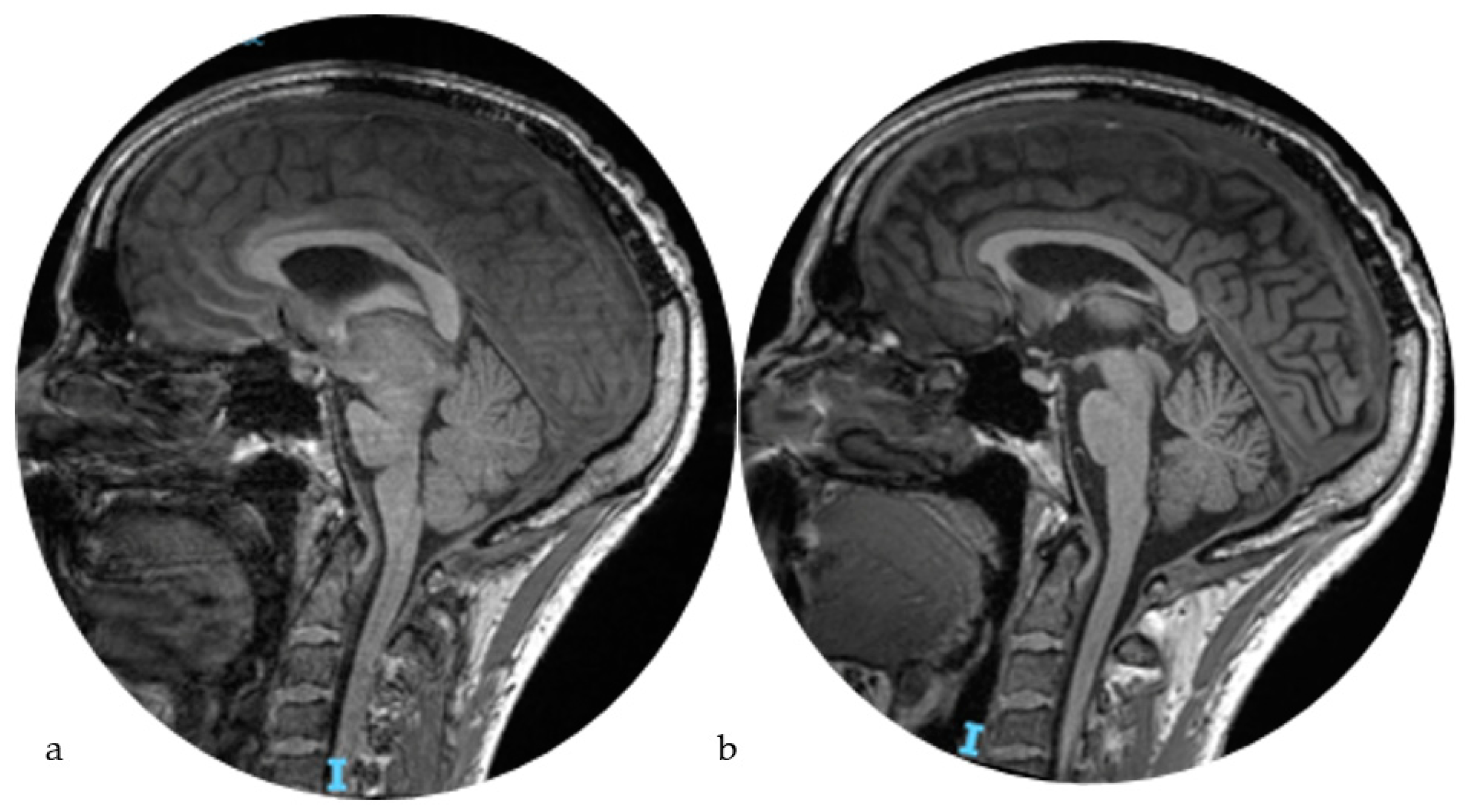 Life 14 00250 g006 Life 14 00250 g006