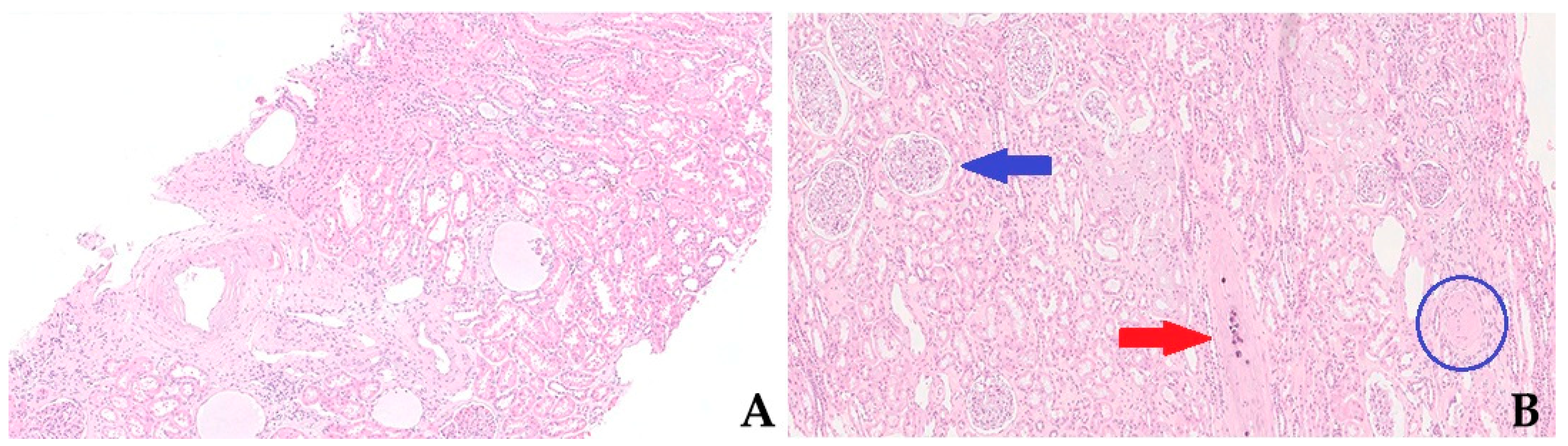 Life 14 00254 g001 Life 14 00254 g001