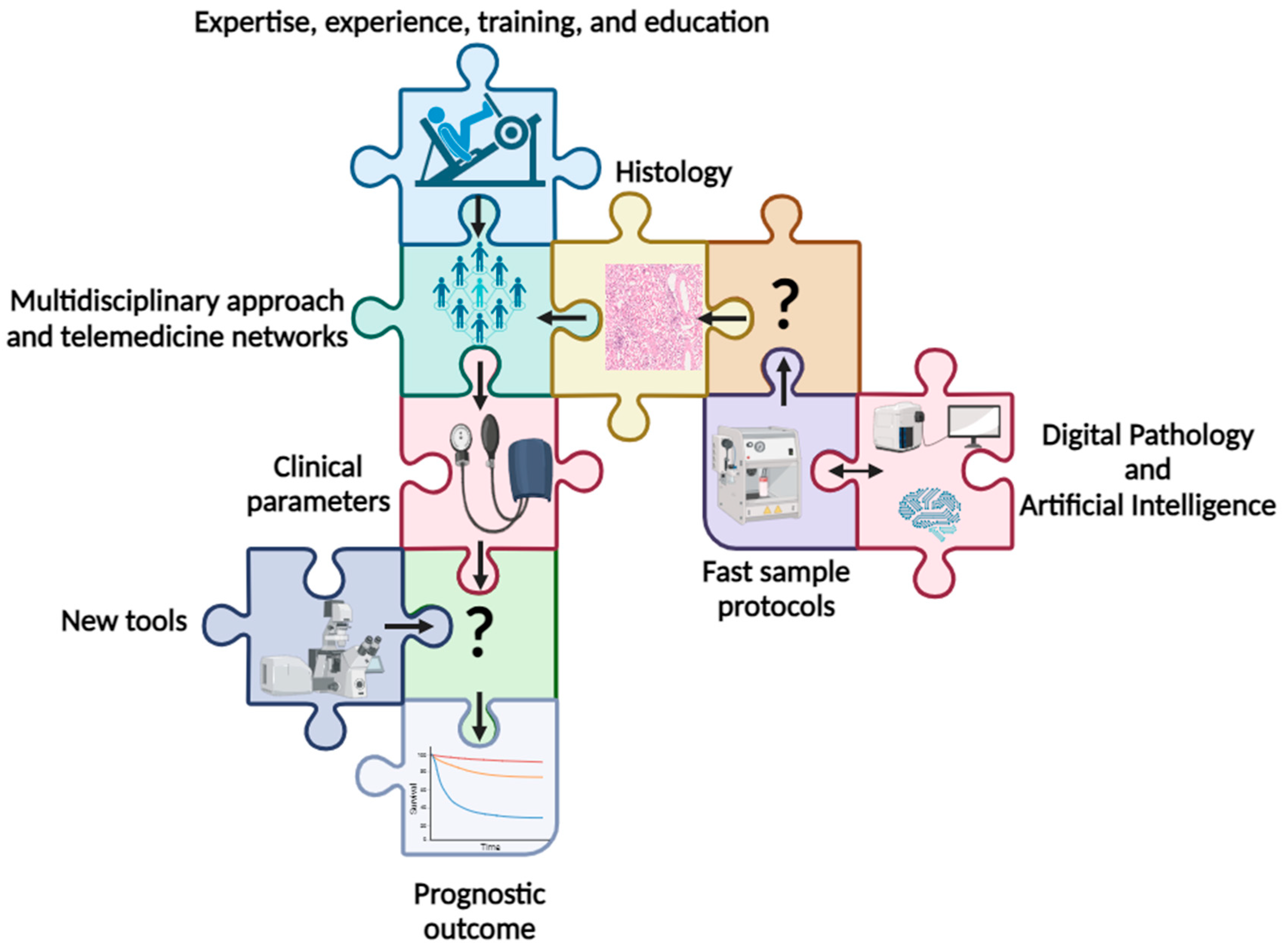 Life 14 00254 g002 Life 14 00254 g002