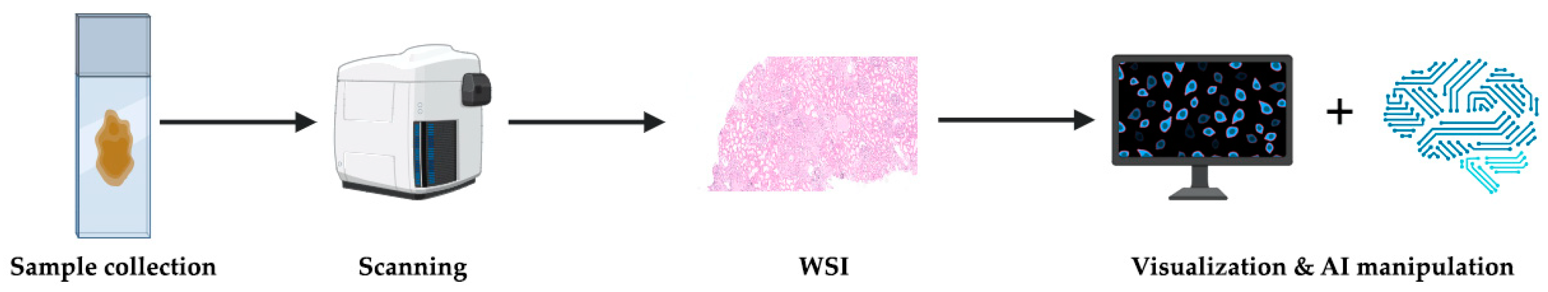 Life 14 00254 g003 Life 14 00254 g003