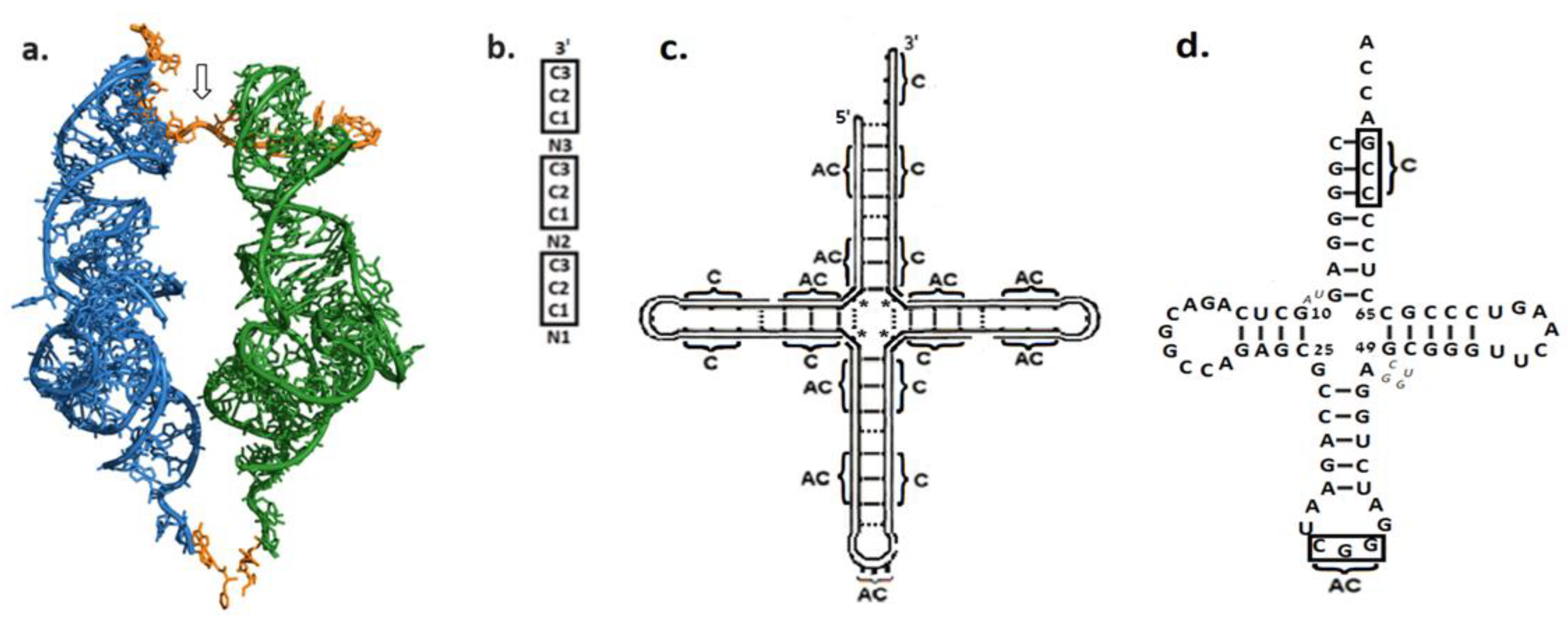 Life 14 00277 g002 Life 14 00277 g002