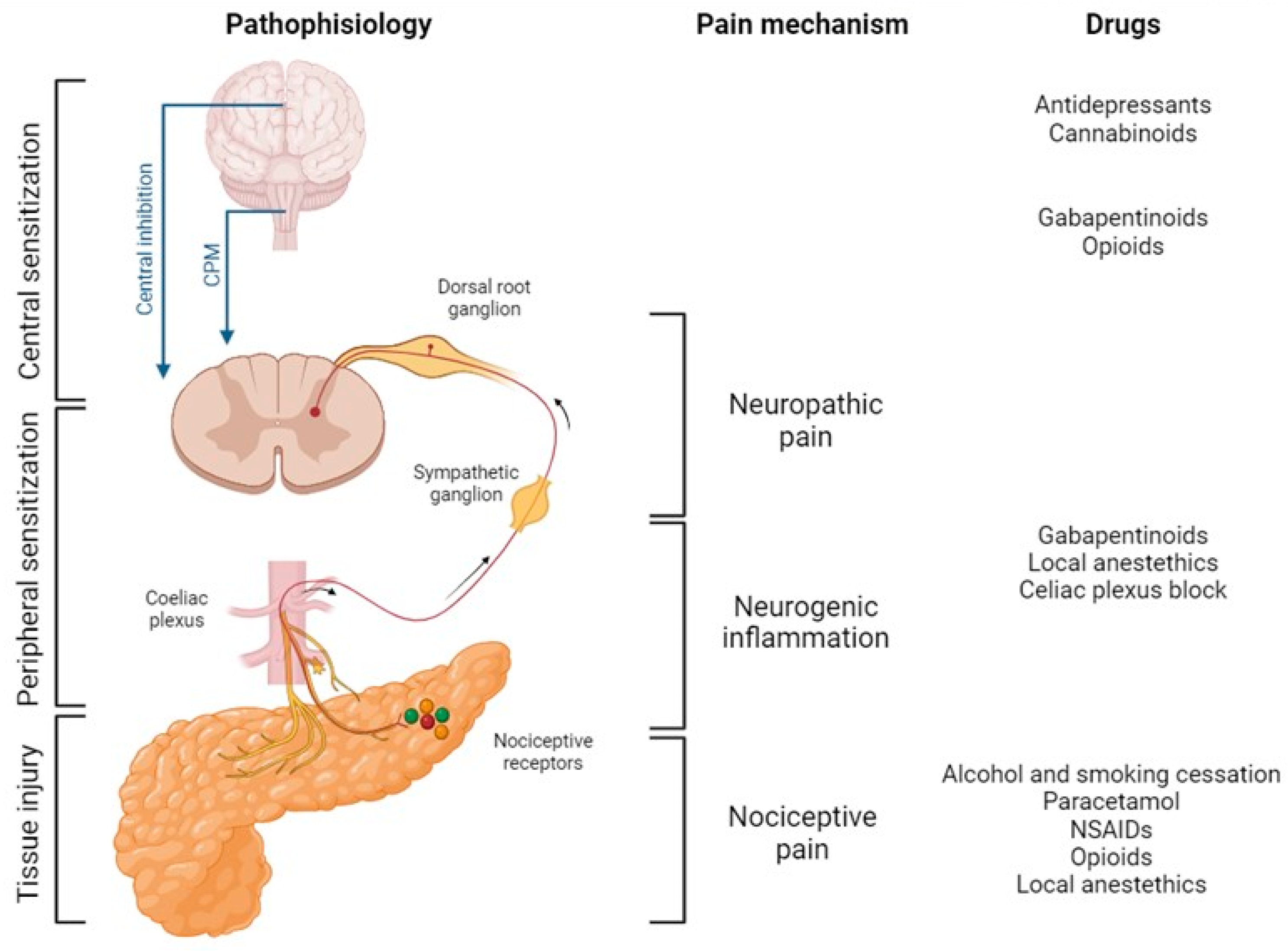 Life 14 00299 g002 Life 14 00299 g002