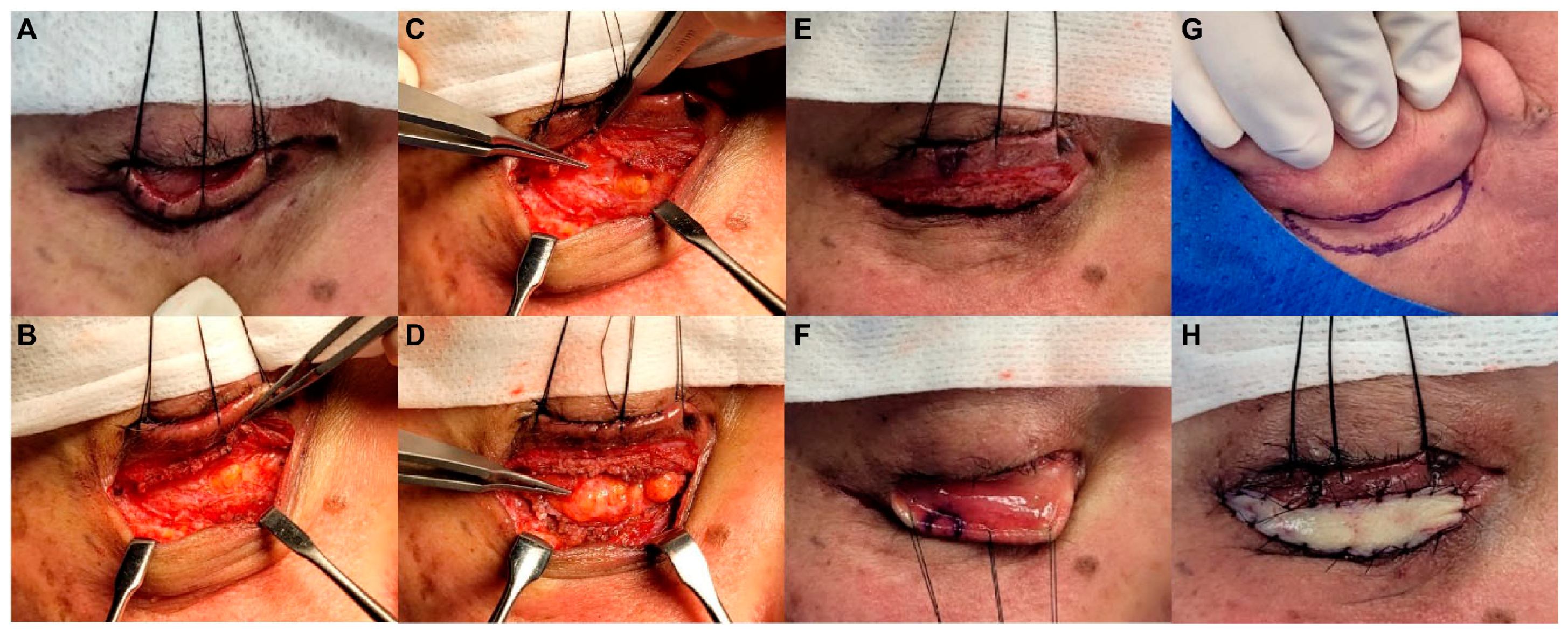 Life 14 00314 g001 Life 14 00314 g001