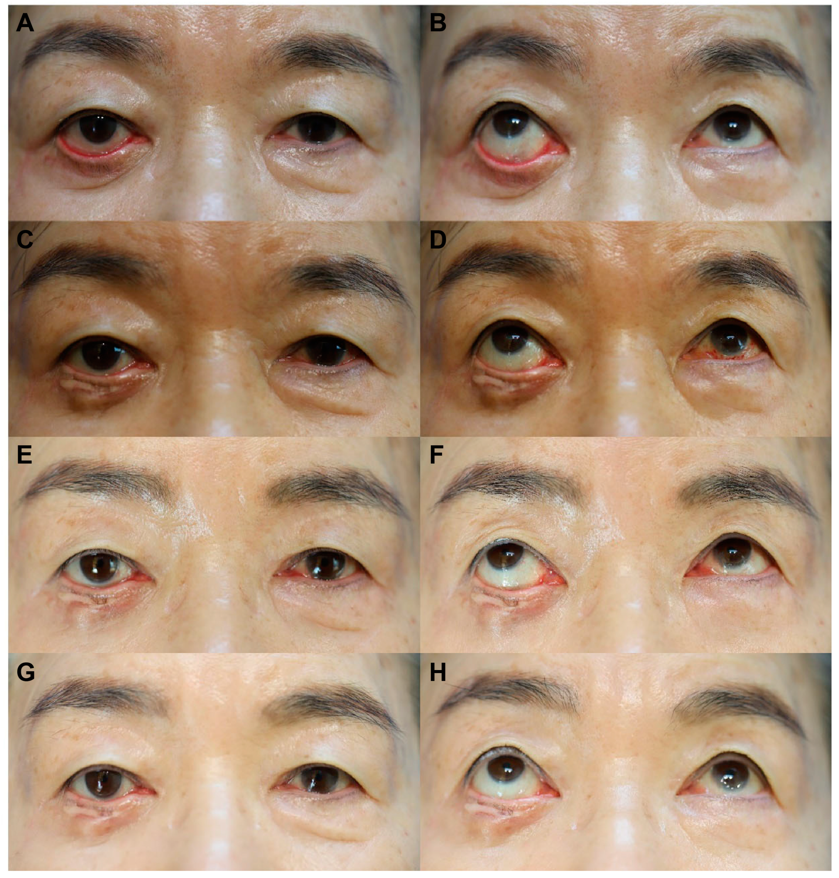 Life 14 00314 g004 Life 14 00314 g004