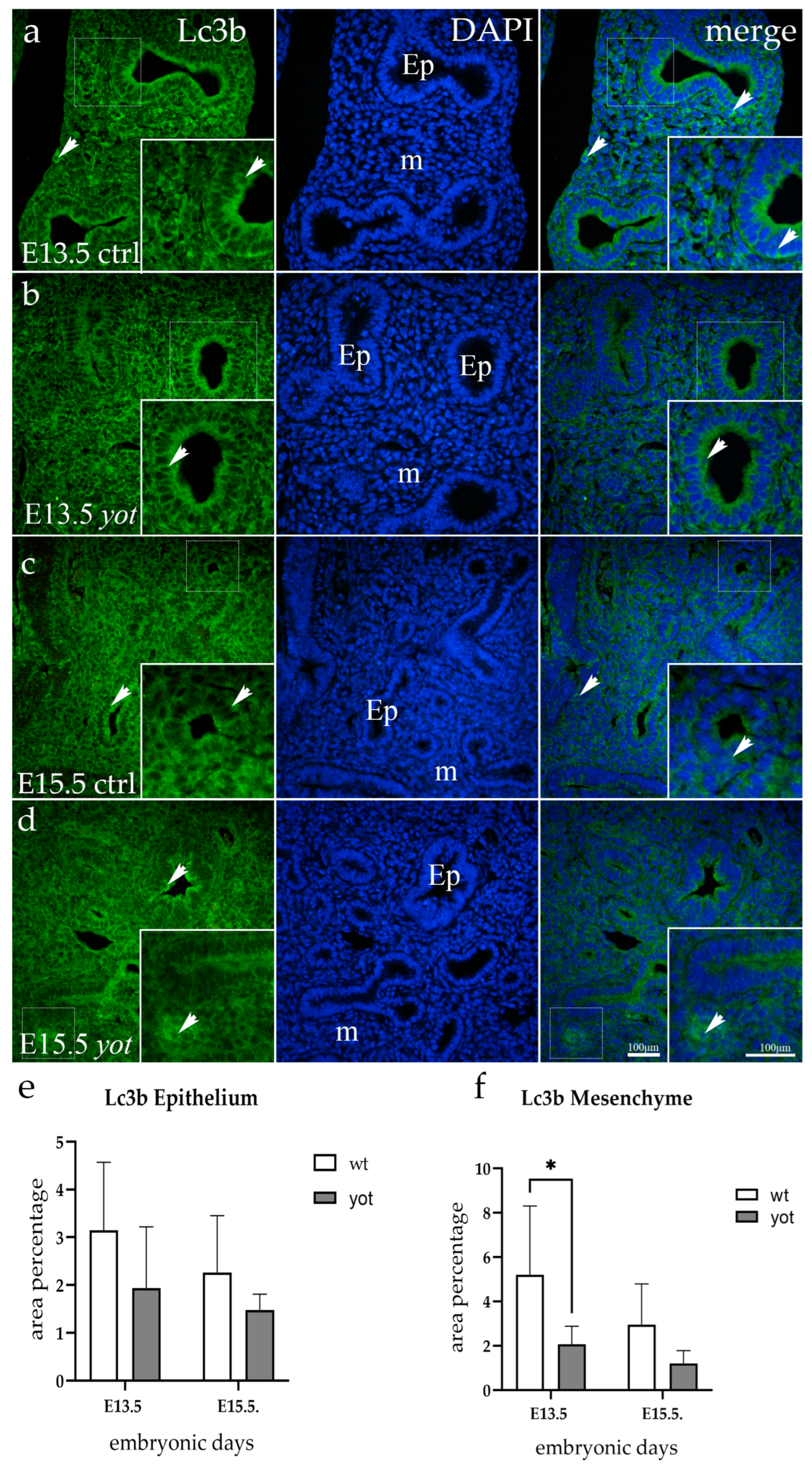 Life 14 00316 g001 Life 14 00316 g001