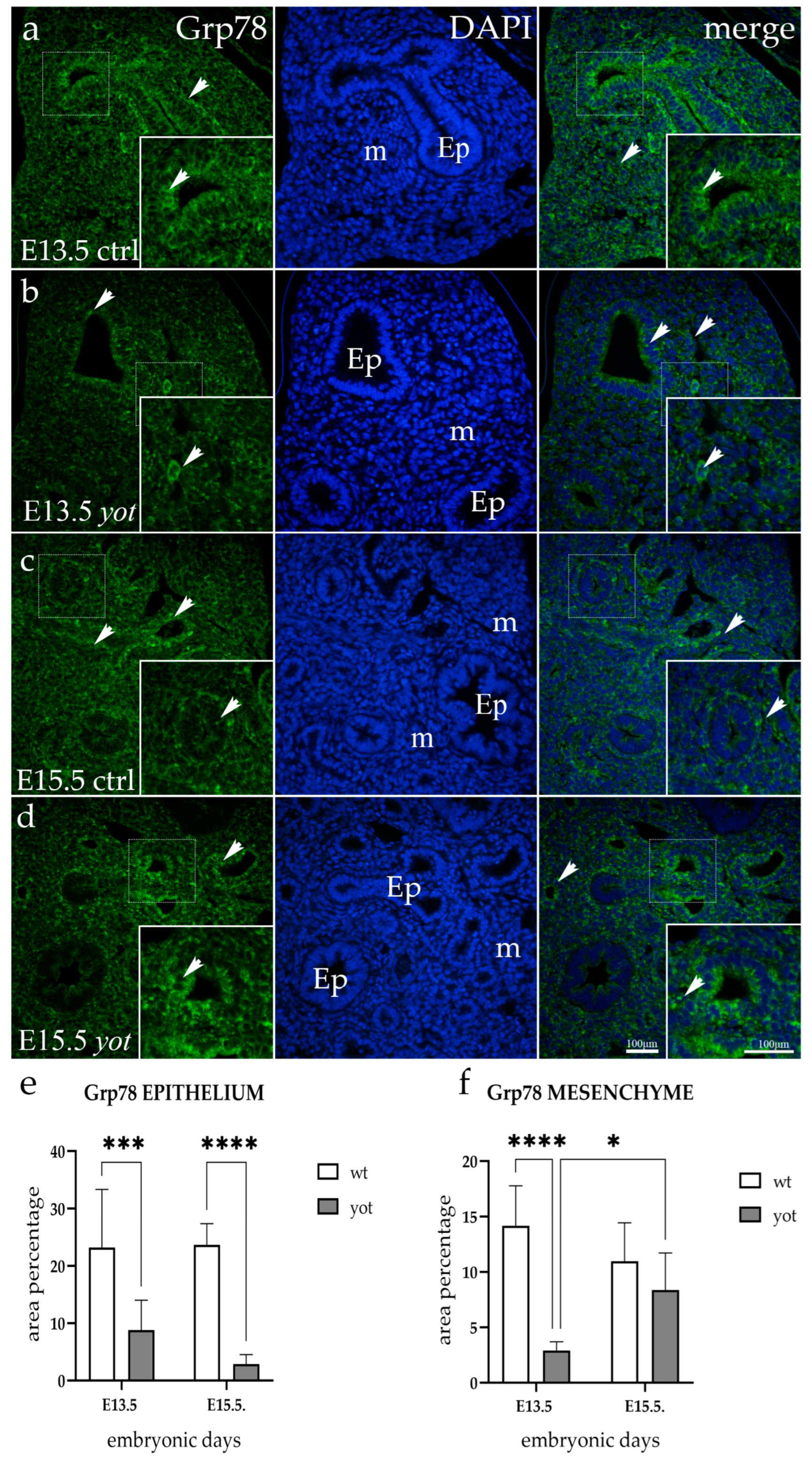 Life 14 00316 g002 Life 14 00316 g002