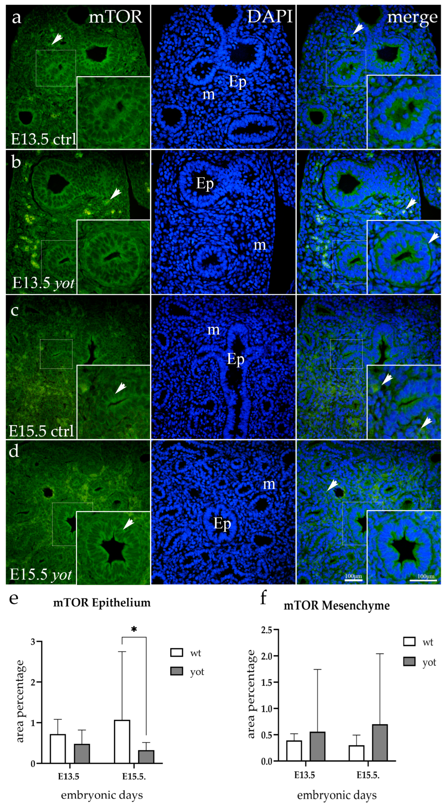 Life 14 00316 g005 Life 14 00316 g005