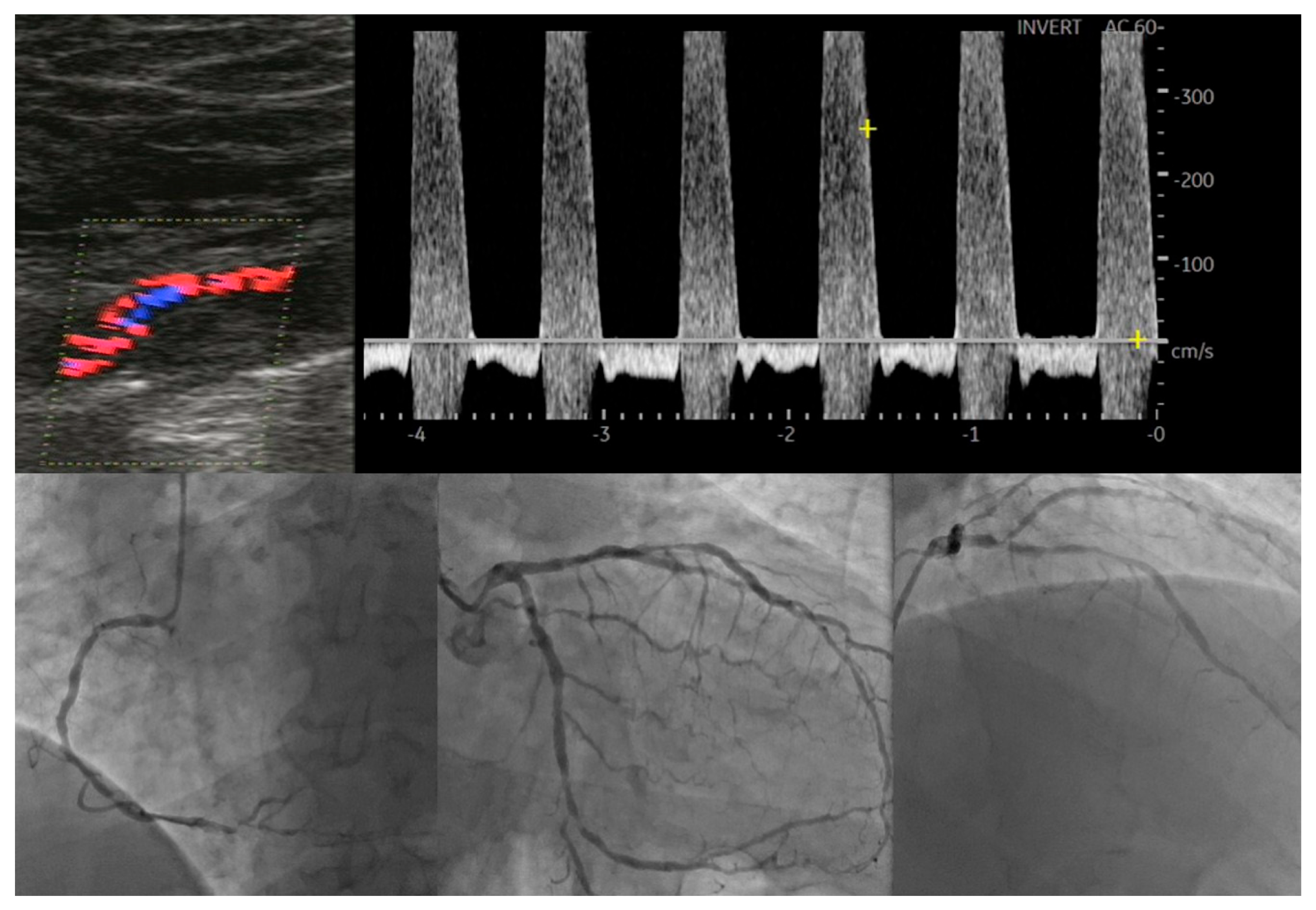 Life 14 00333 g001 Life 14 00333 g001