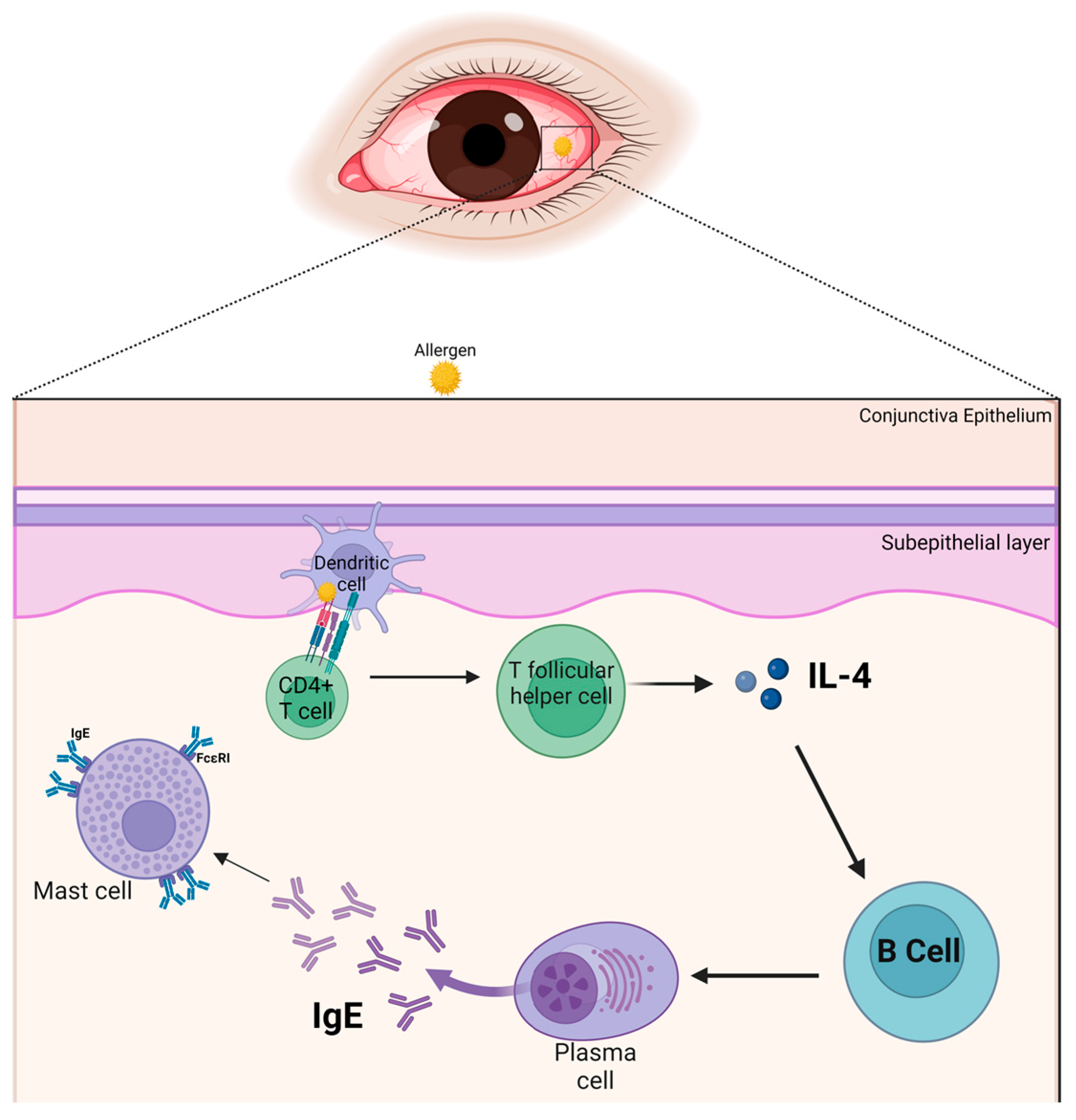 Life 14 00350 g001 Life 14 00350 g001