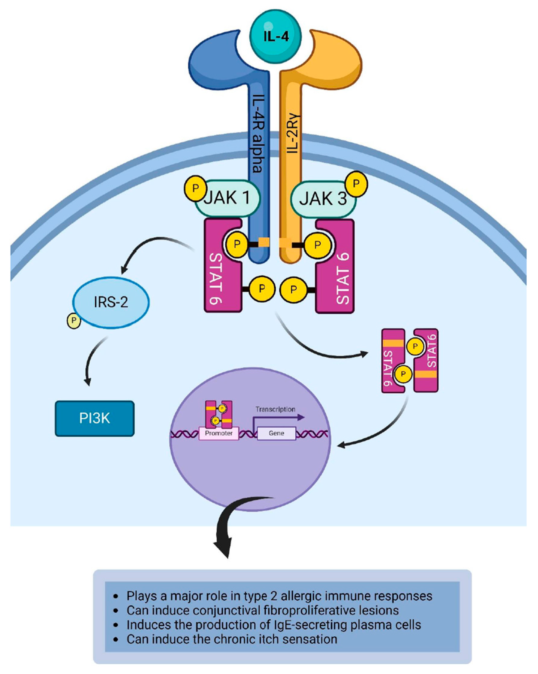 Life 14 00350 g002 Life 14 00350 g002