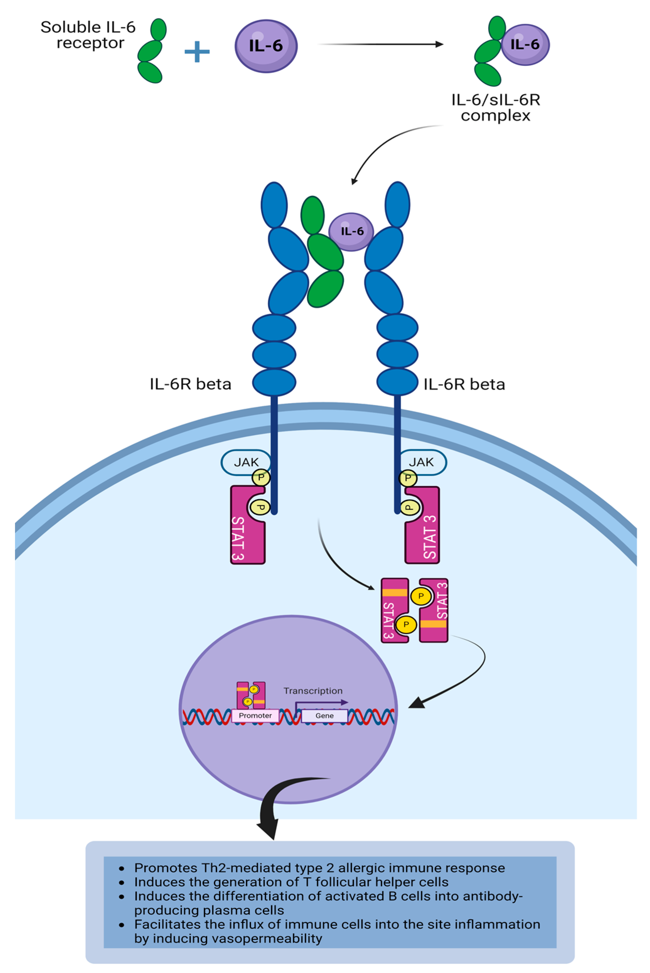 Life 14 00350 g004 Life 14 00350 g004