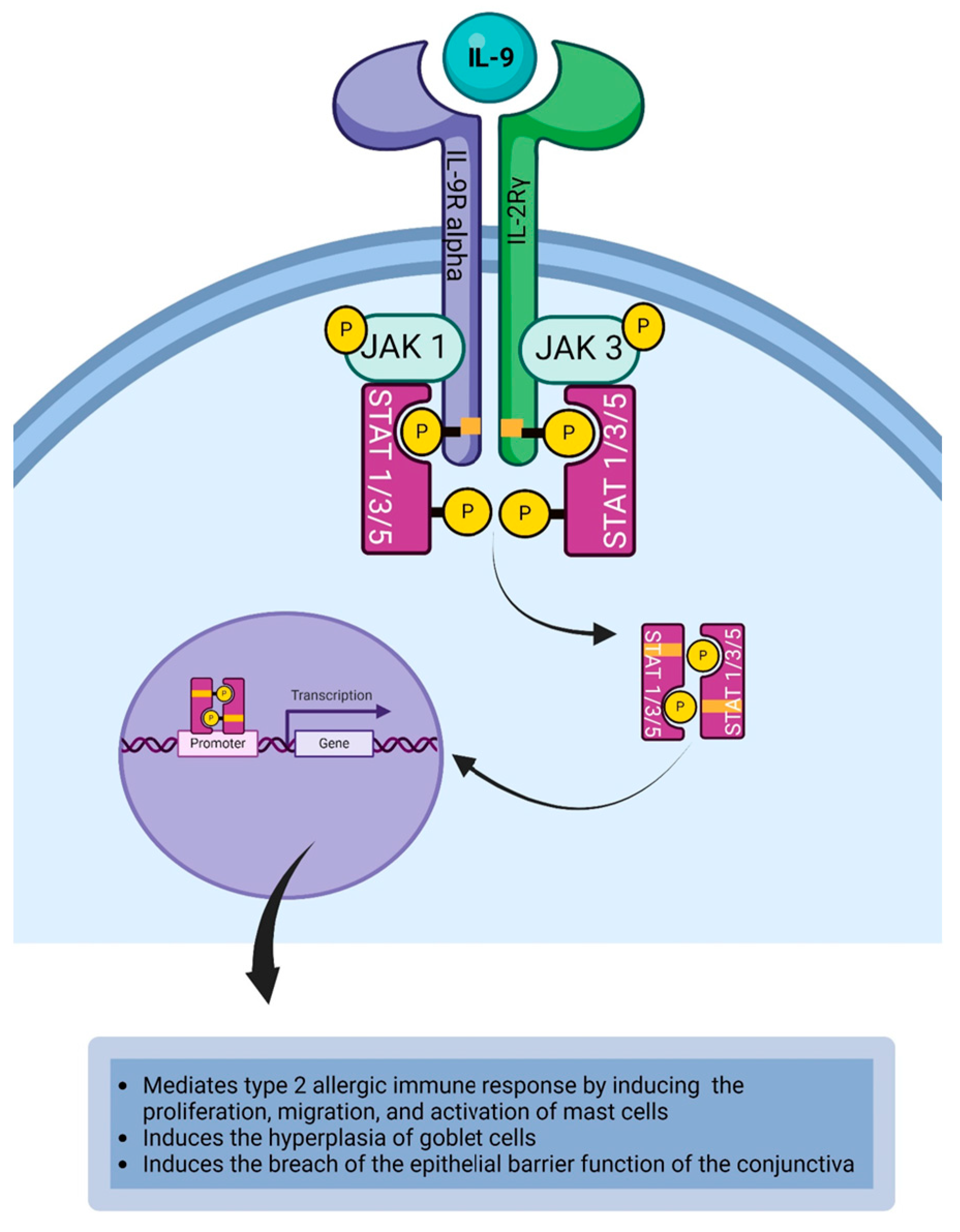 Life 14 00350 g005 Life 14 00350 g005