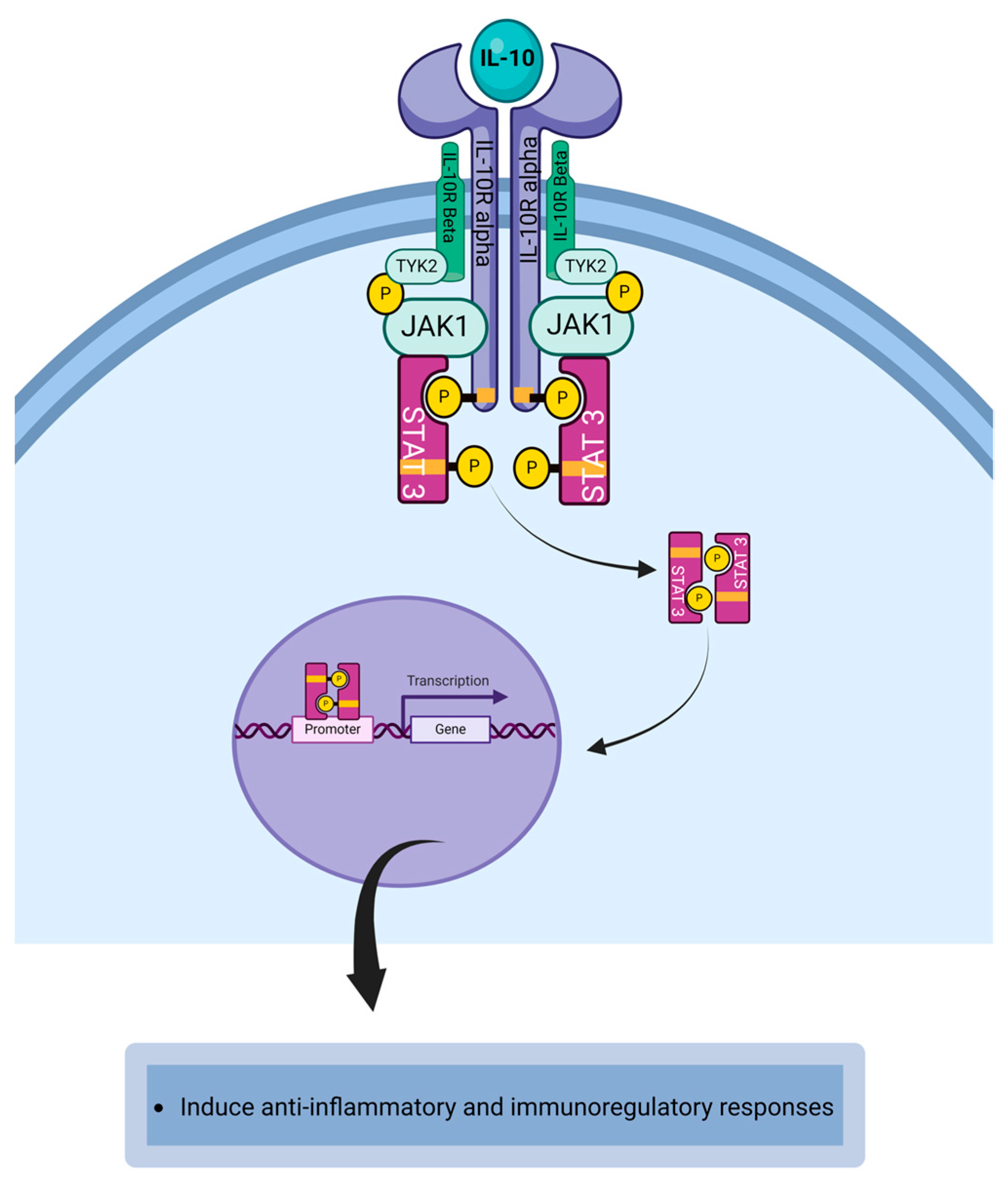 Life 14 00350 g006 Life 14 00350 g006