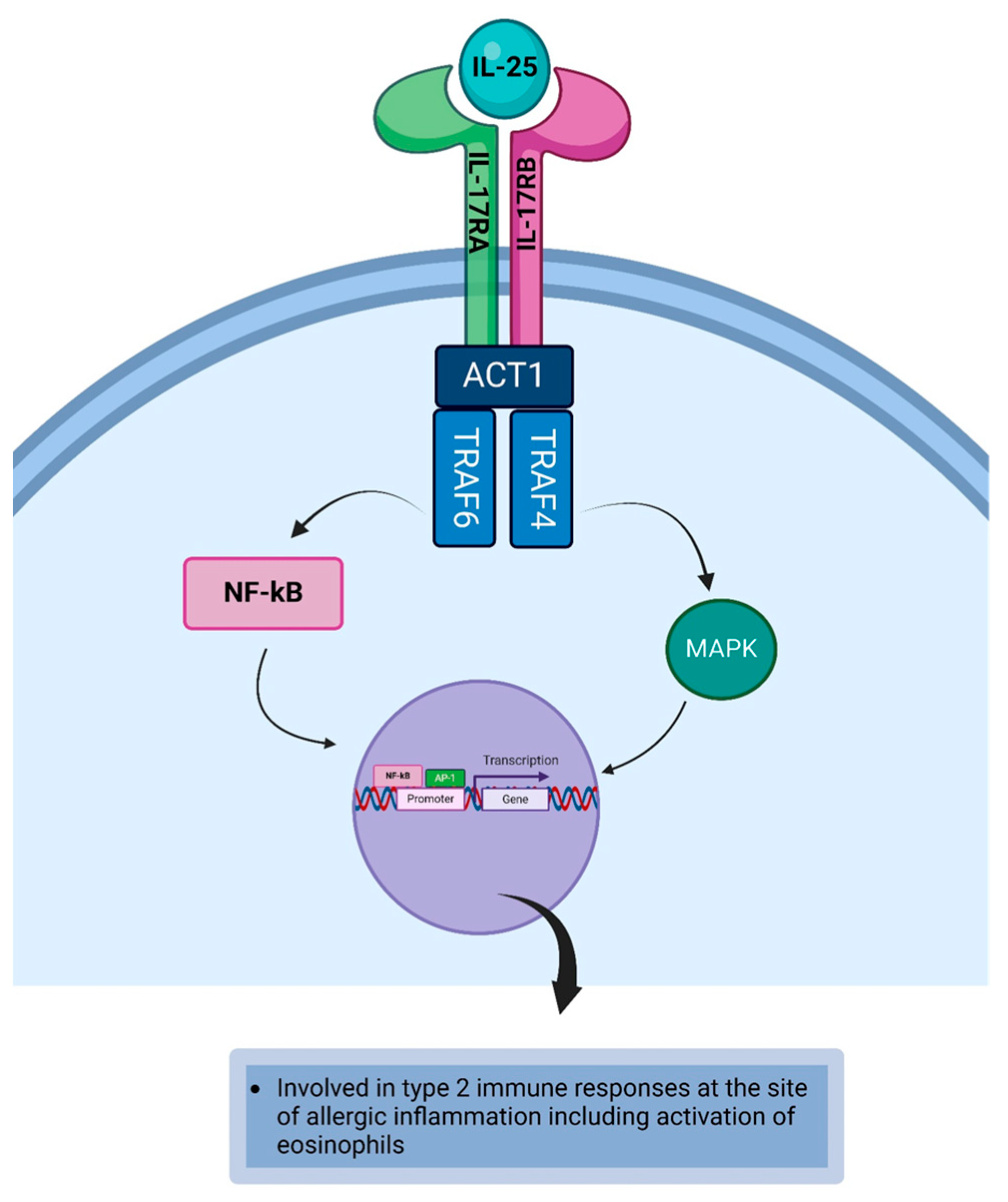 Life 14 00350 g008 Life 14 00350 g008