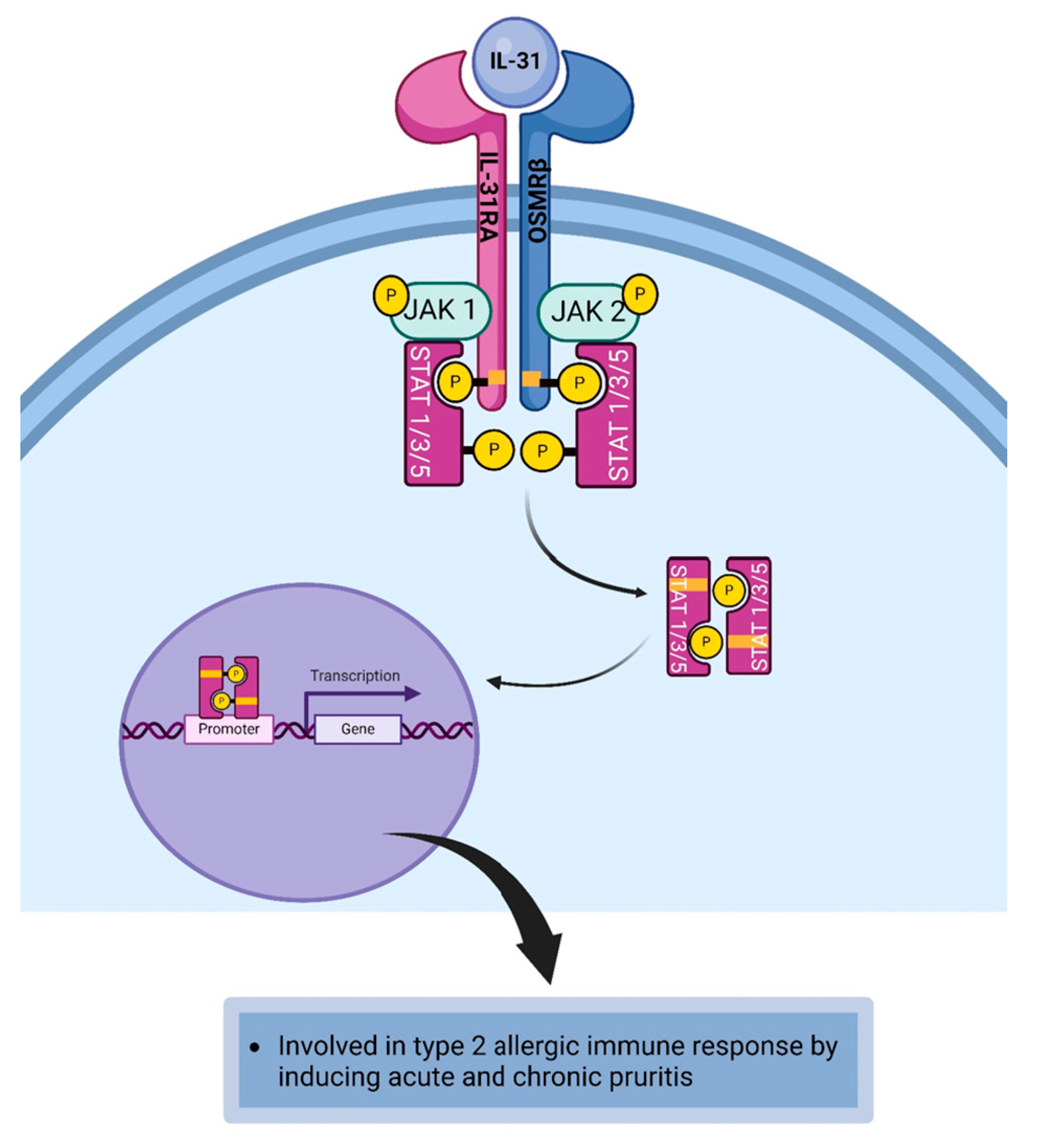 Life 14 00350 g009 Life 14 00350 g009
