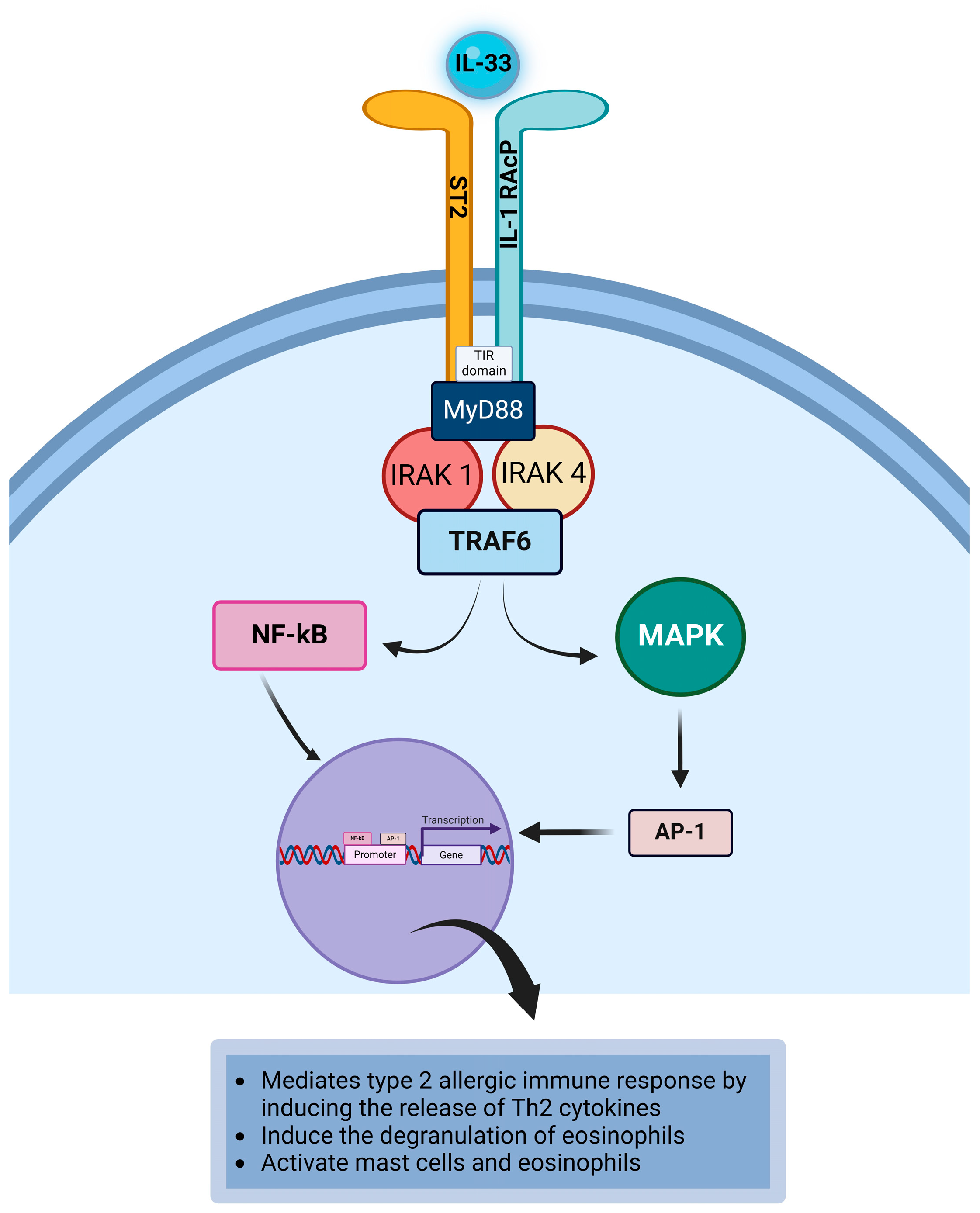 Life 14 00350 g010 Life 14 00350 g010