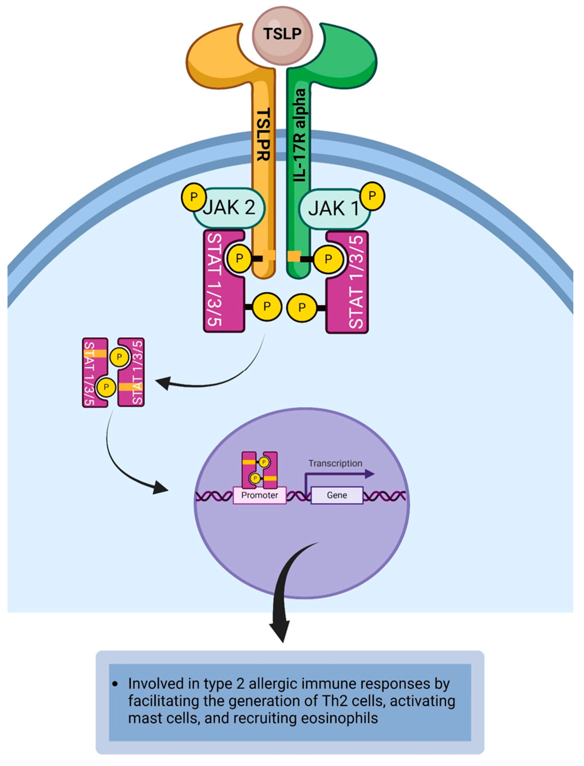 Life 14 00350 g011 Life 14 00350 g011