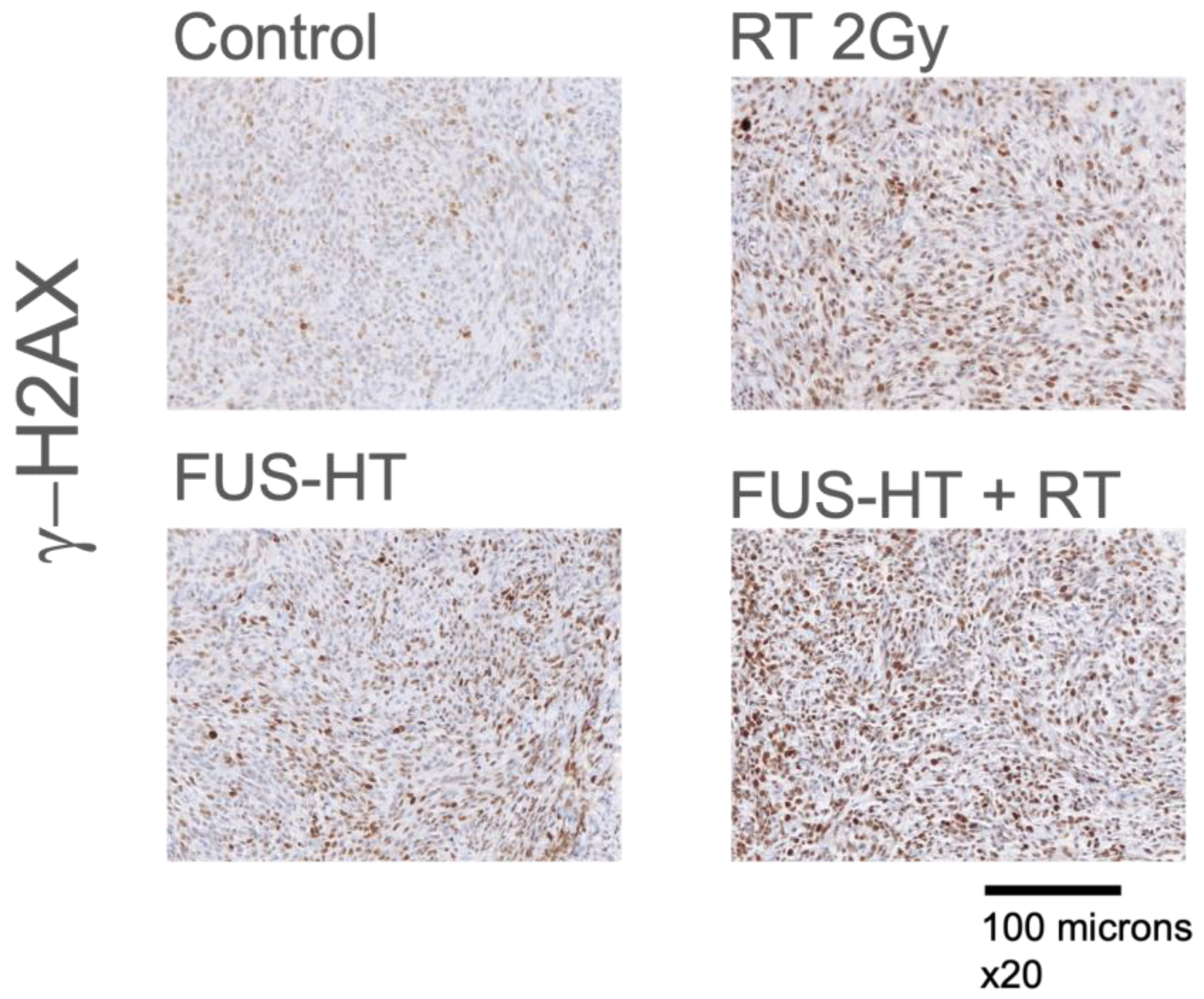 Life 14 00359 g004 Life 14 00359 g004