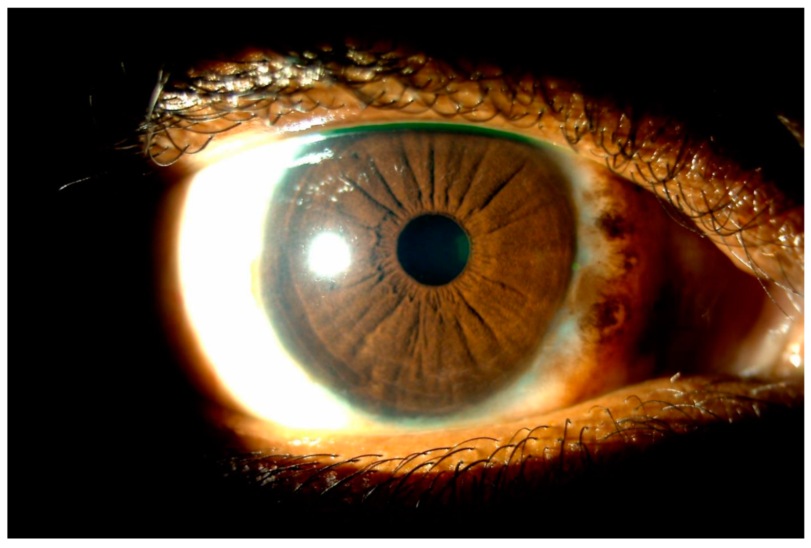 Life 14 00361 g003 Life 14 00361 g003