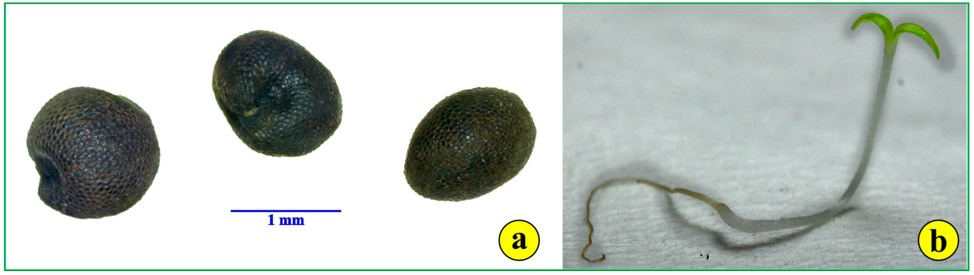 Life 14 00398 g002 Life 14 00398 g002