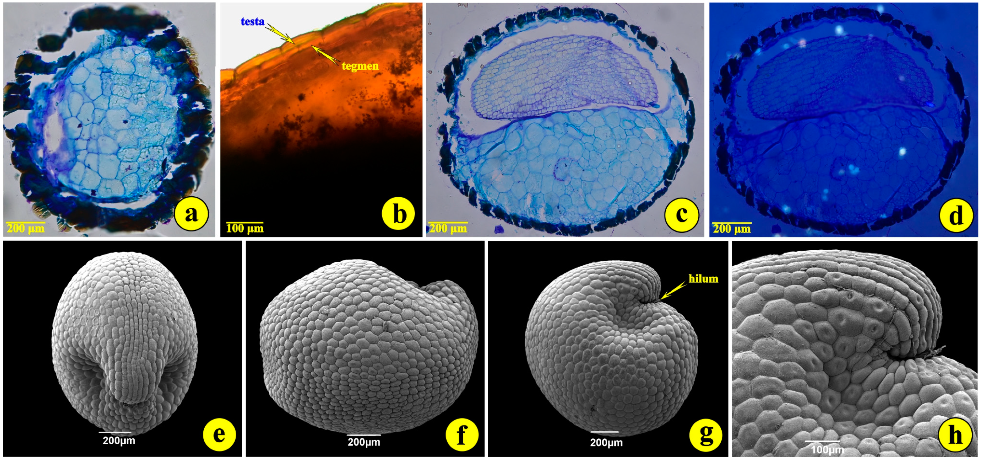 Life 14 00398 g003 Life 14 00398 g003