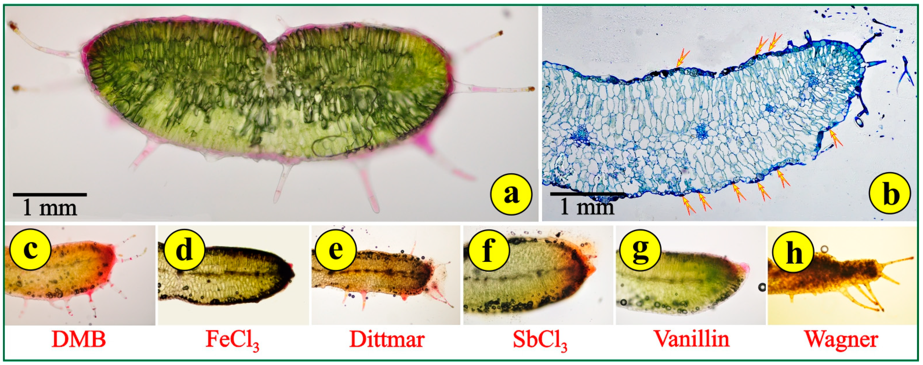 Life 14 00398 g004 Life 14 00398 g004